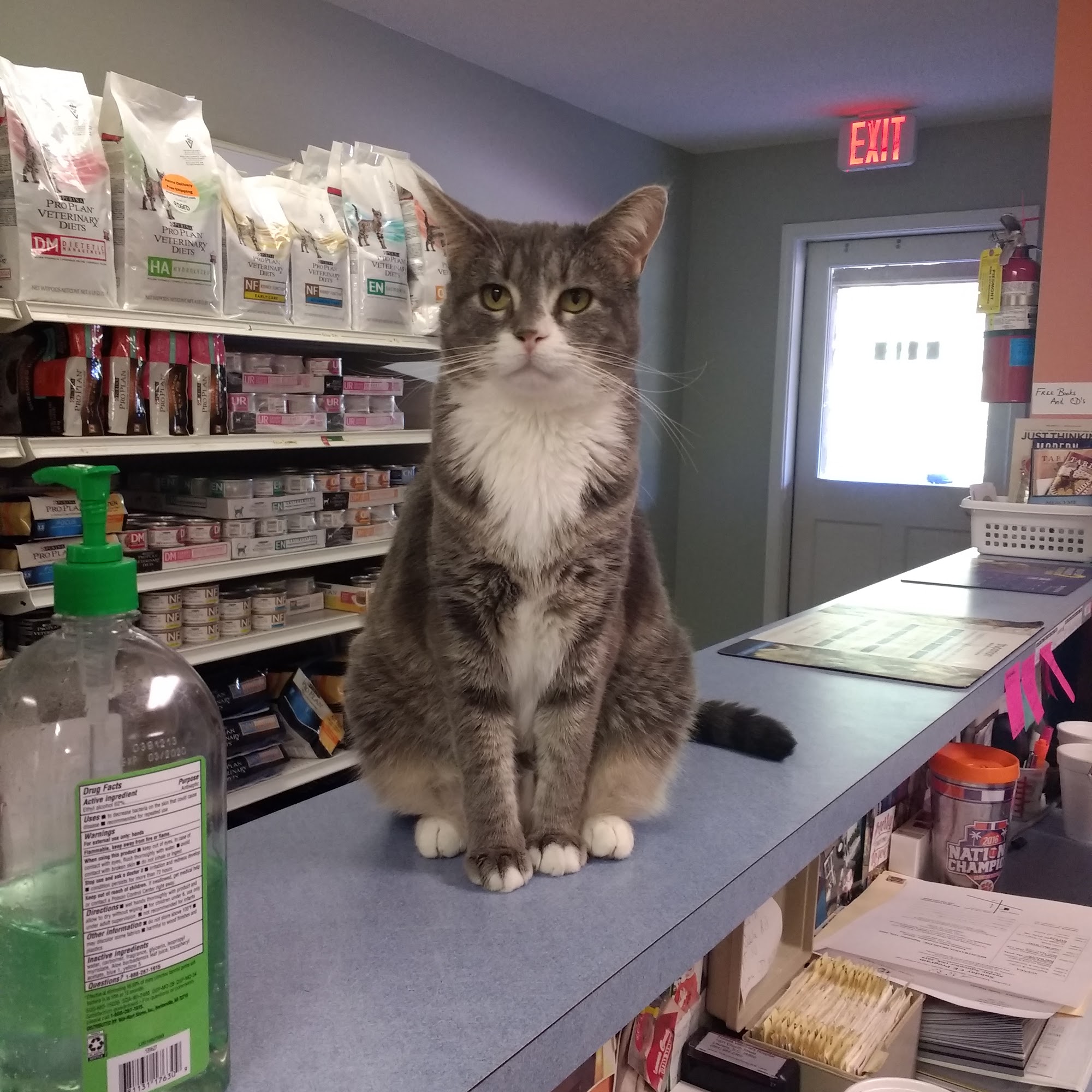 Holmes Veterinary Hospital Laurens