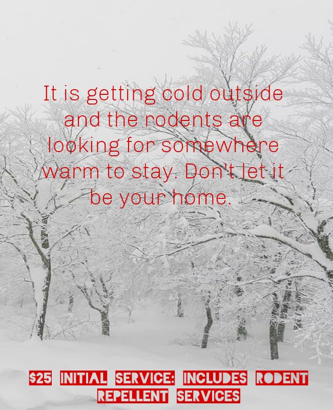 Rise Up Pest Control