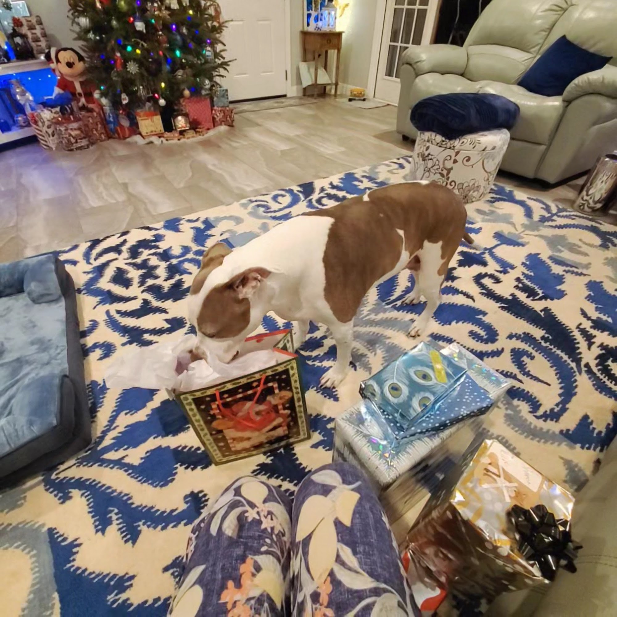 White Knoll Veterinary Hospital & Pet Resort LLC Lexington