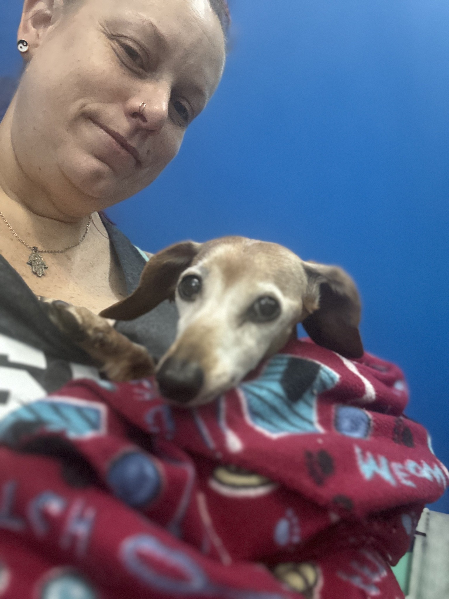 Fur- ever Friends Pet Resort and Spa Longs