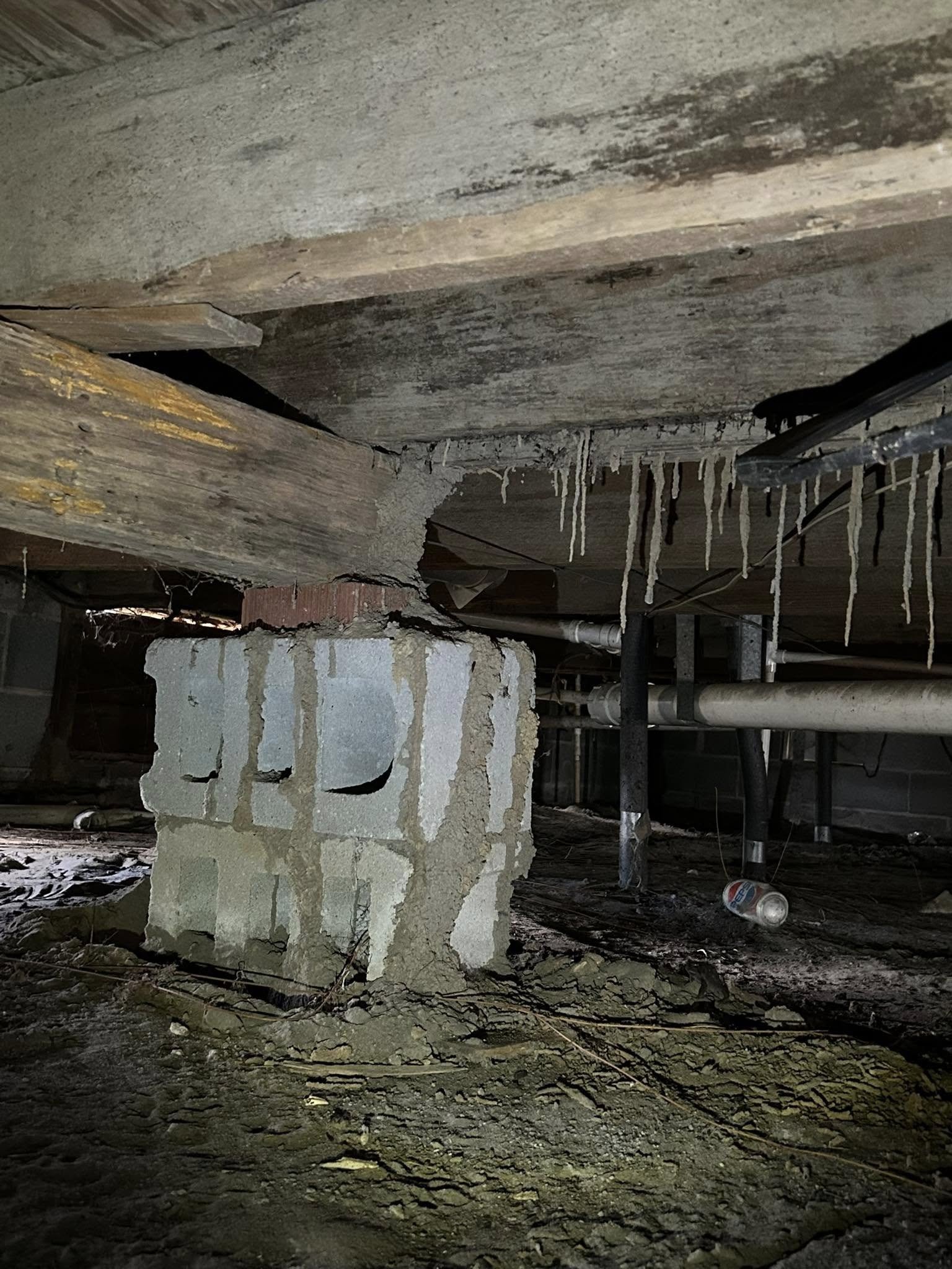 Protec Pest Control 1876 Southern Crest Dr, Loris South Carolina 29569