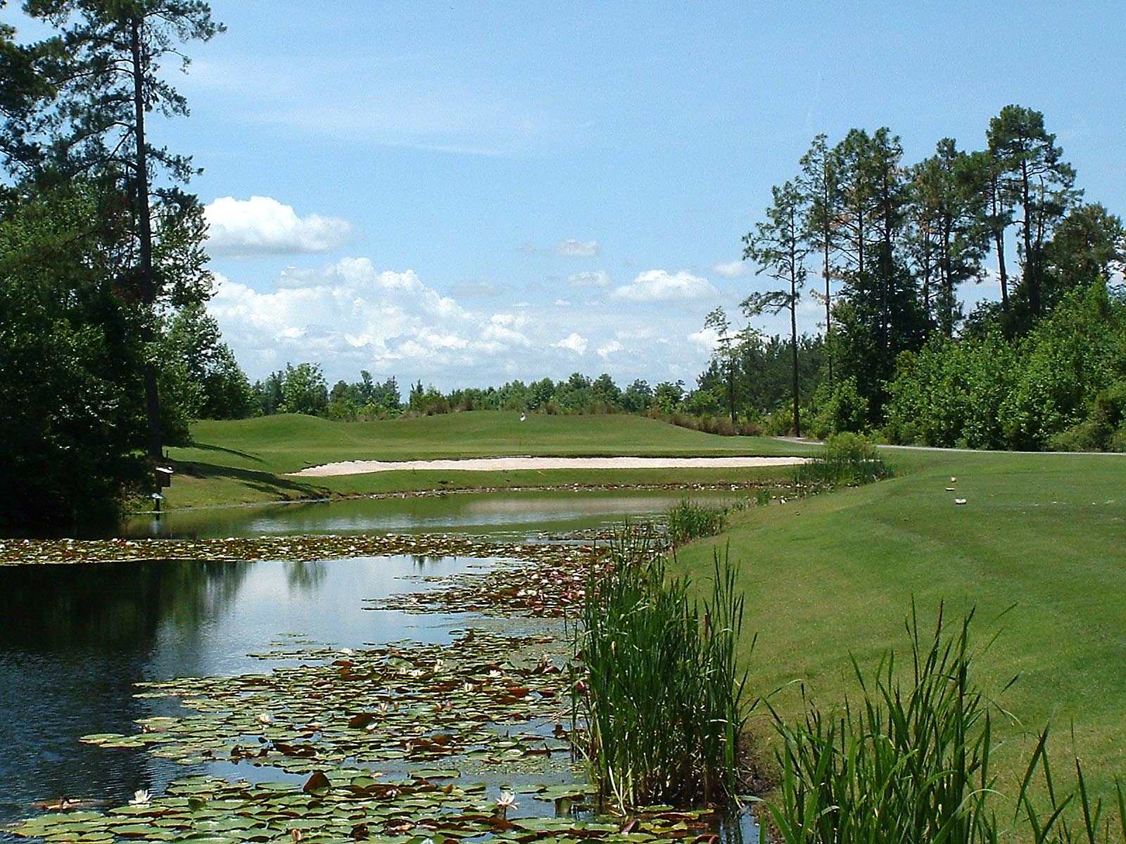 Diamondback Golf Club Loris