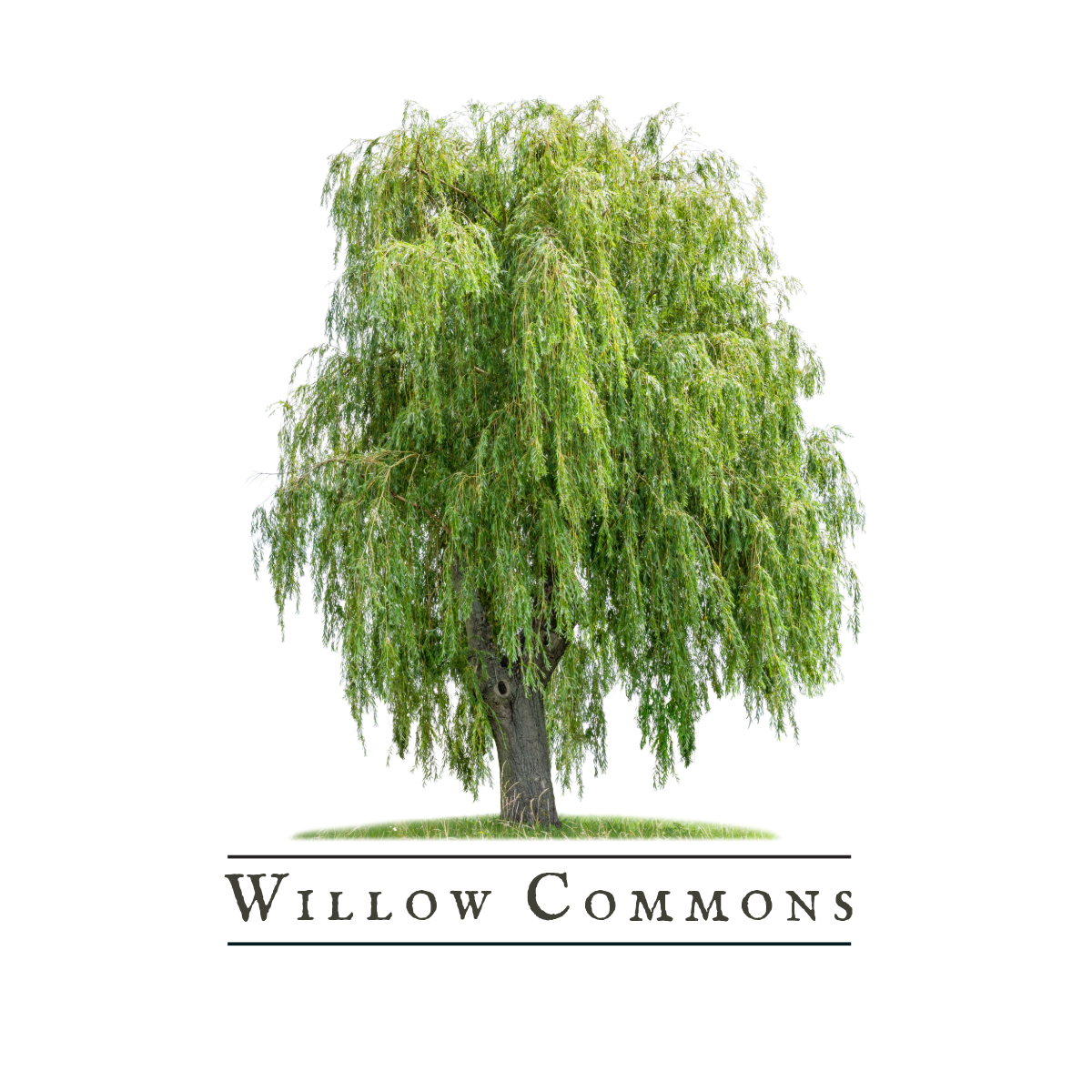 Willow Commons by D.R. Horton