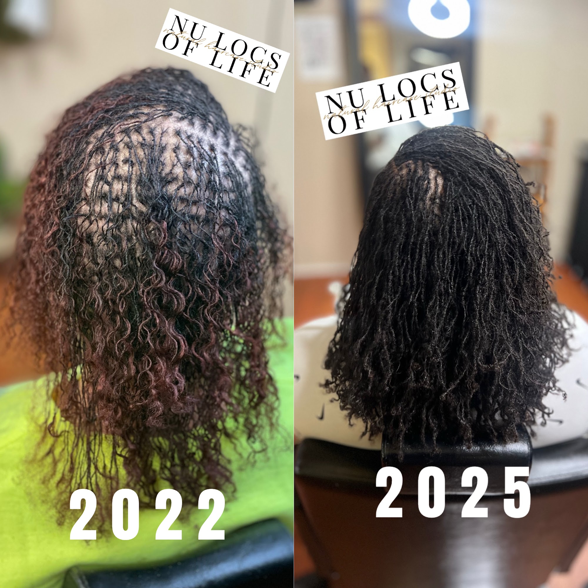 Nu Locs of Life LLC -Natural Hair Care Studio 18 E Butler Rd, Mauldin South Carolina 29662