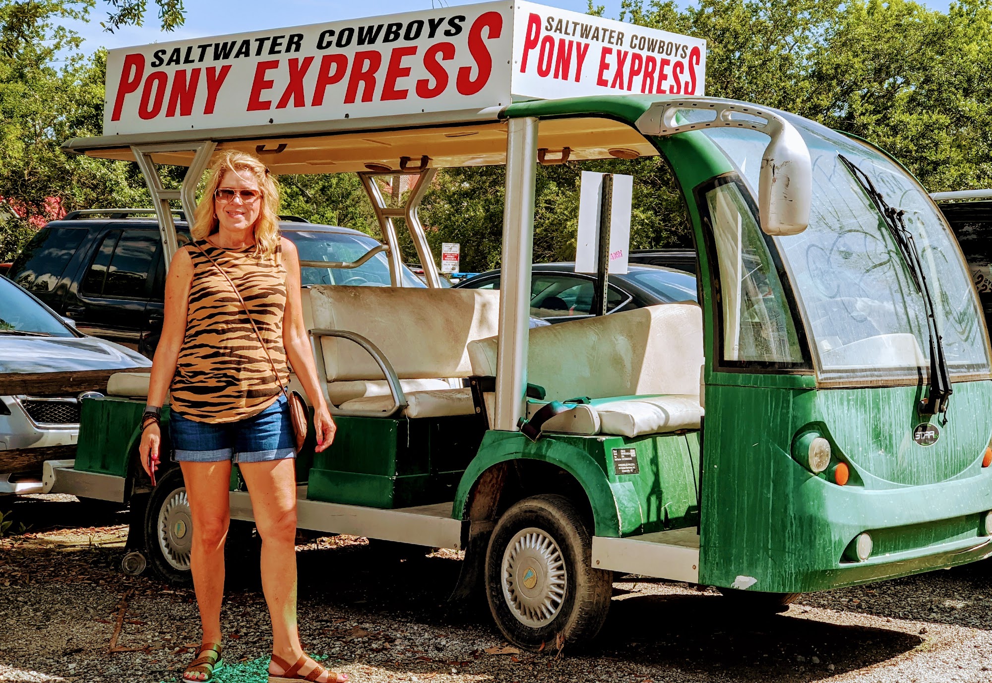 Pet Vet Animal Hospital Mount Pleasant