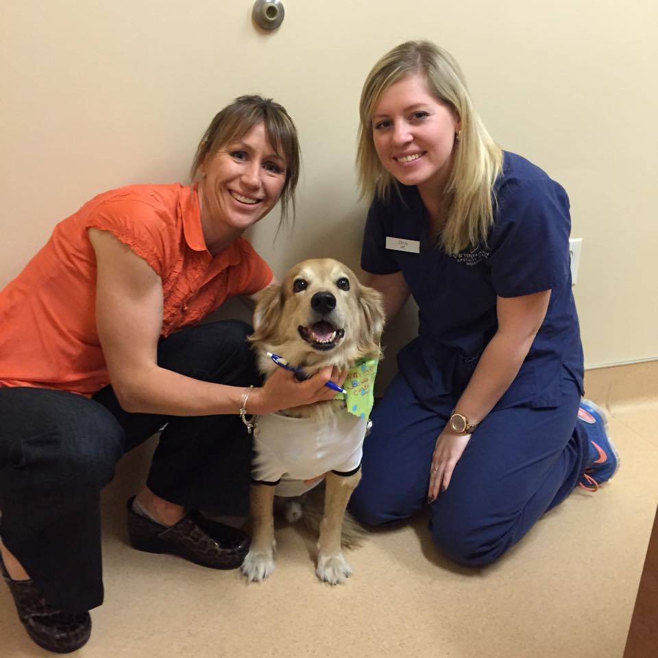 BluePearl Pet Hospital Mount Pleasant