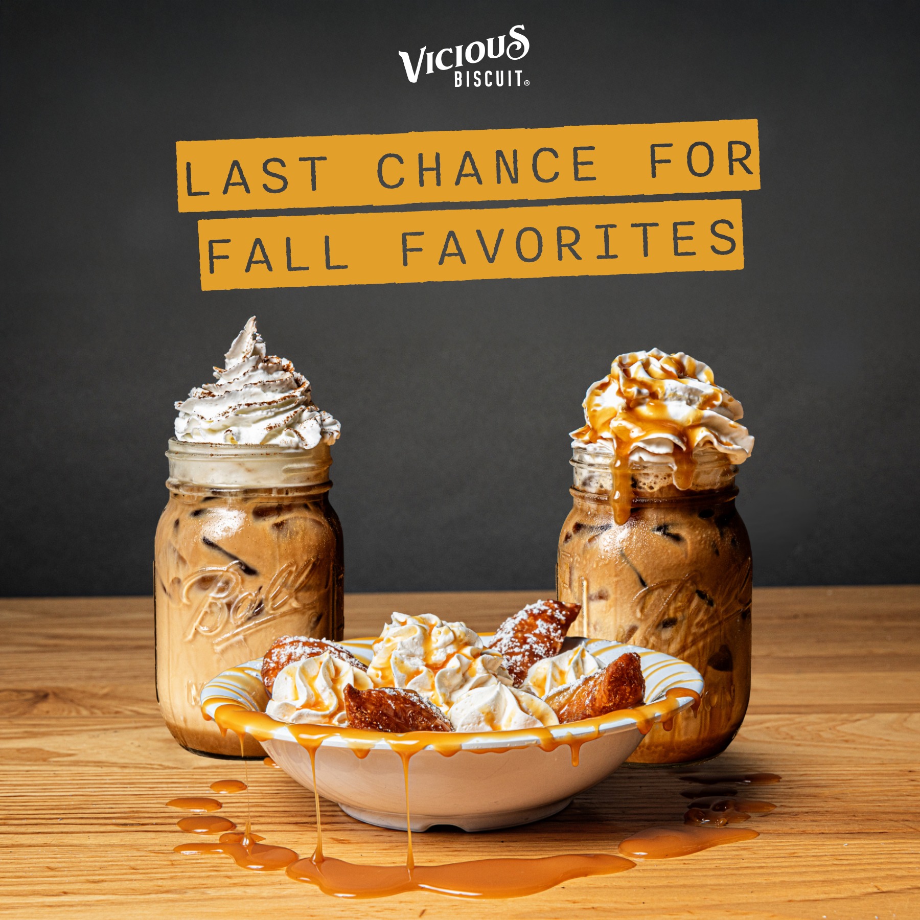 Vicious Biscuit Mount Pleasant Mount Pleasant