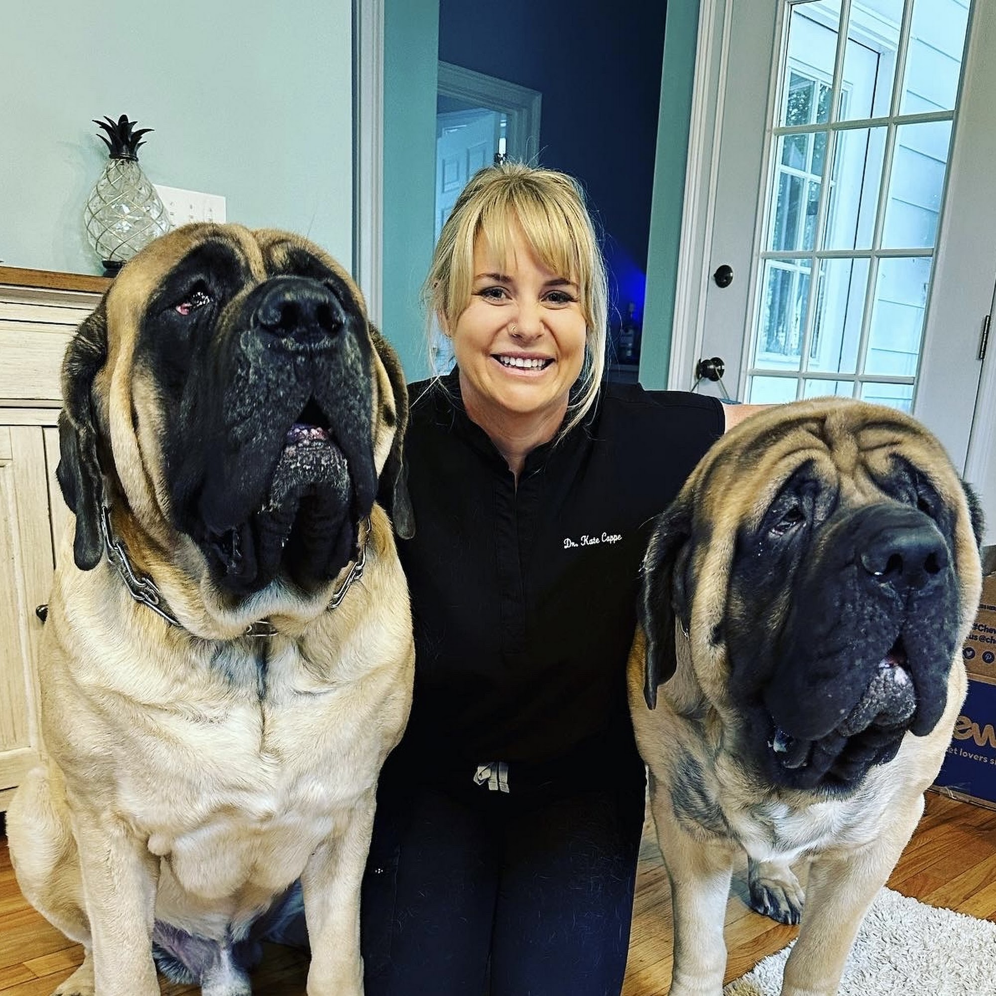 Pet Care Professionals Mount Pleasant