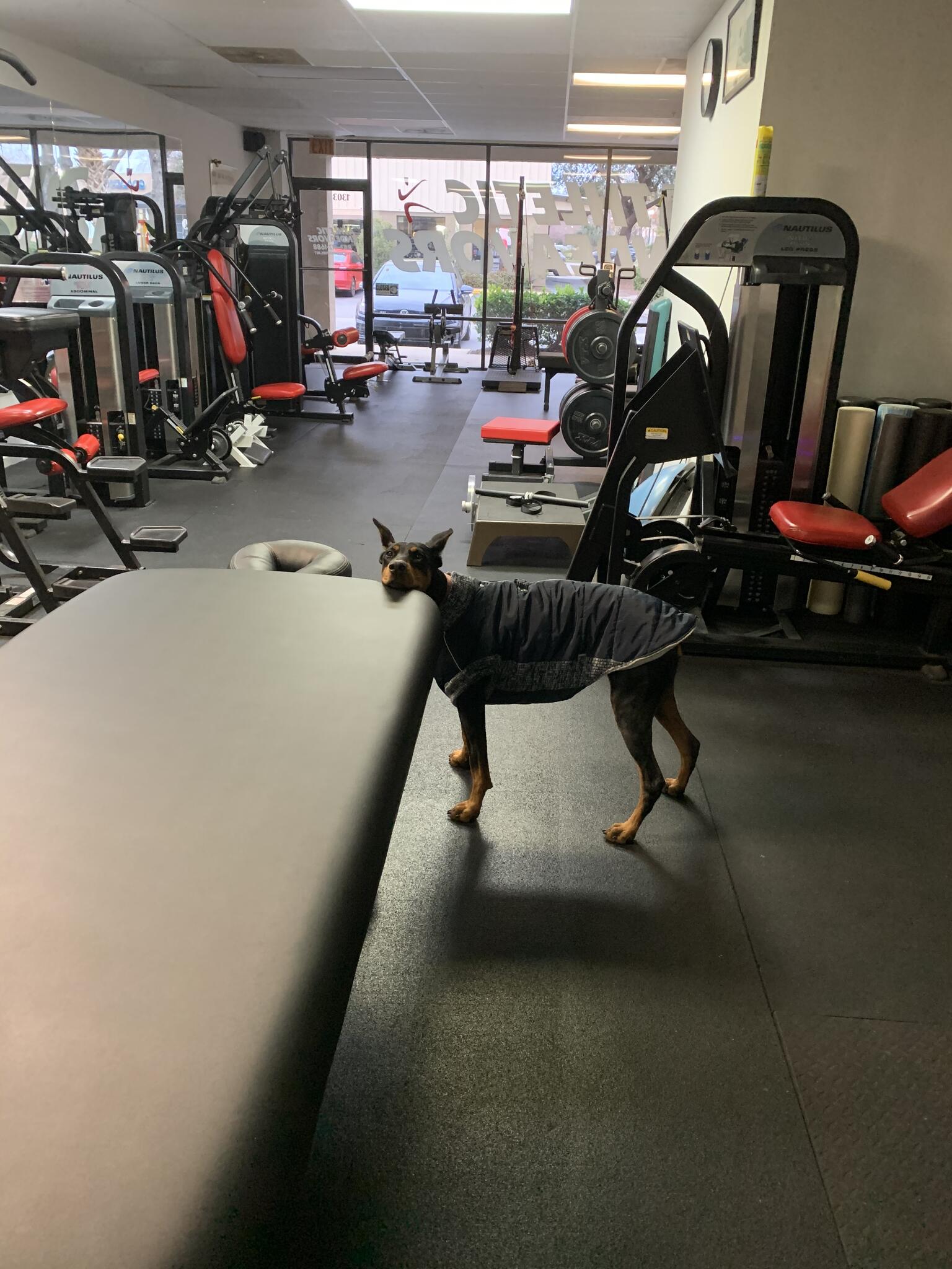 Photo credit: nextdoor