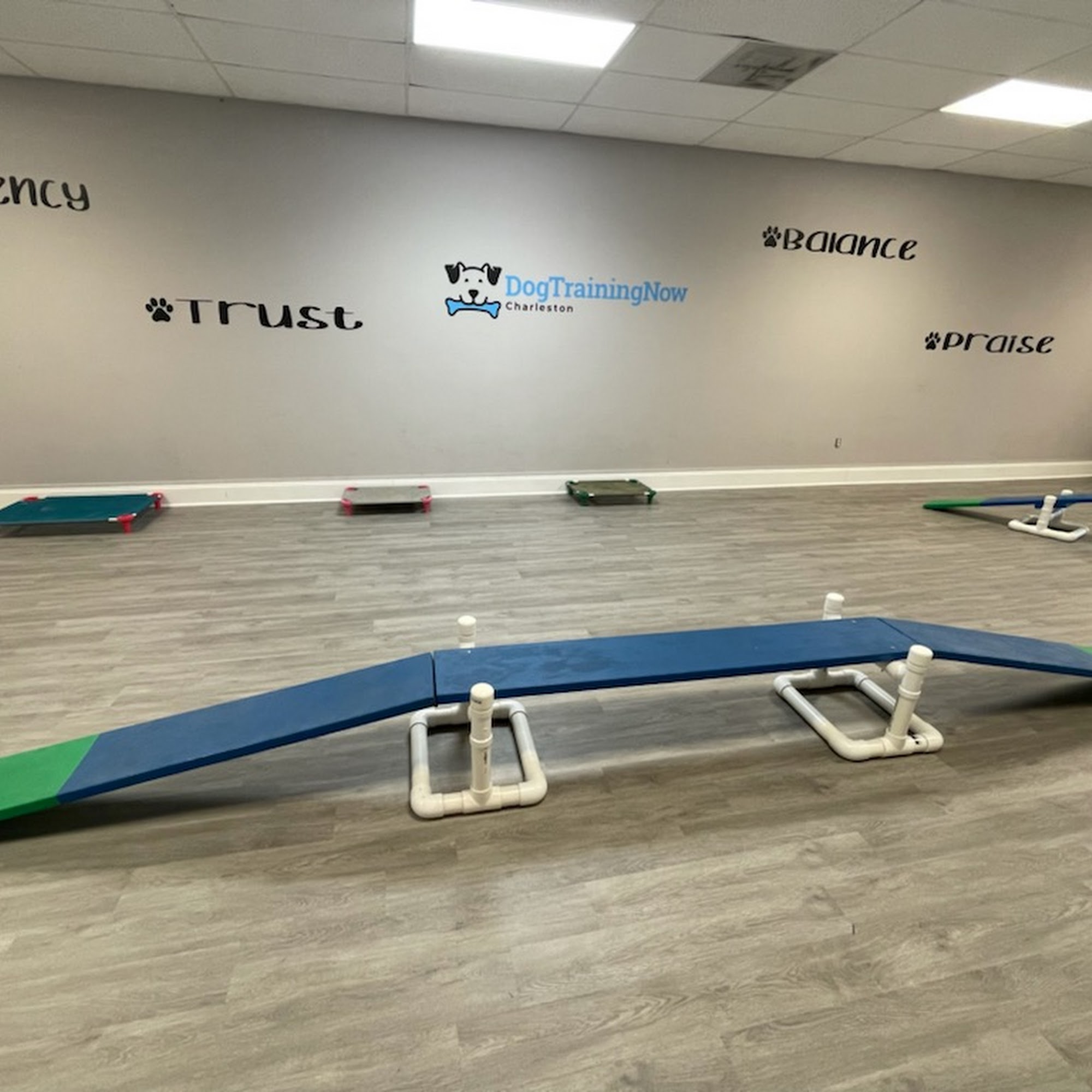 Dog Training Now Charleston Mount Pleasant