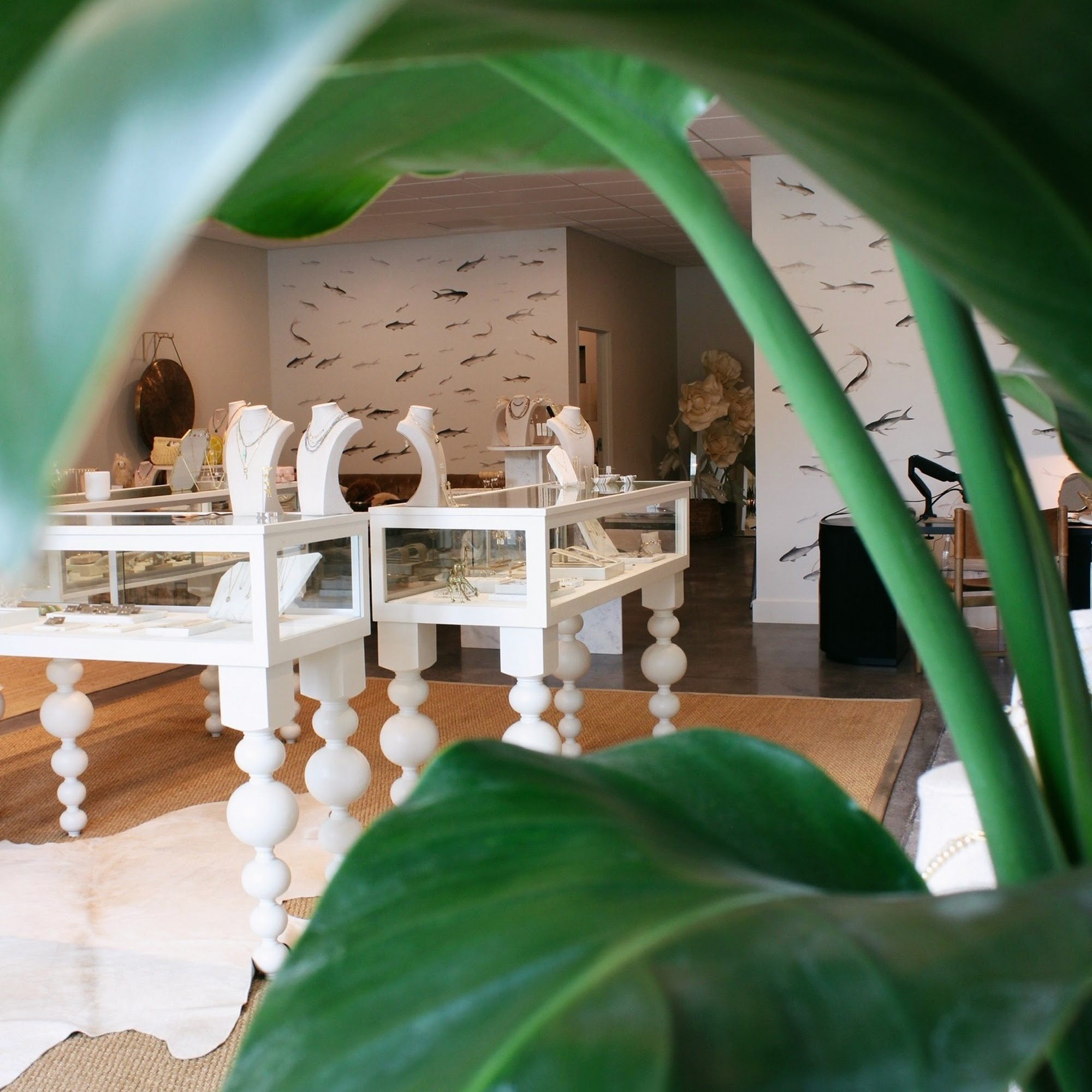 Sugar & Lola Mount Pleasant