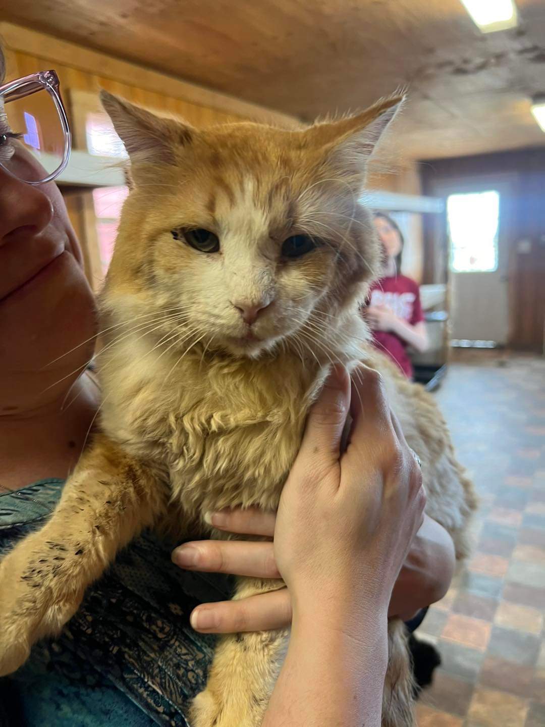 Marion County Animal Shelter Mullins