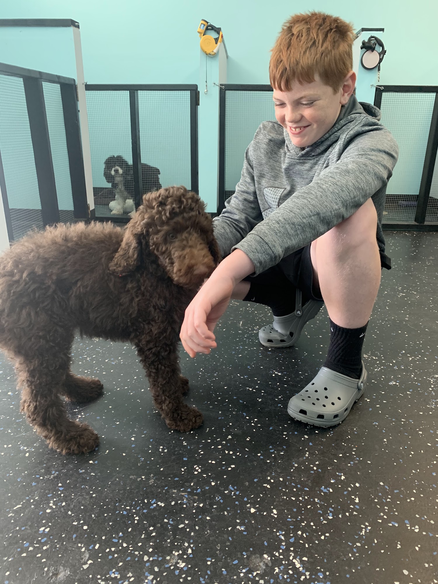 Palmetto Paws Pet Spa, LLC Myrtle Beach