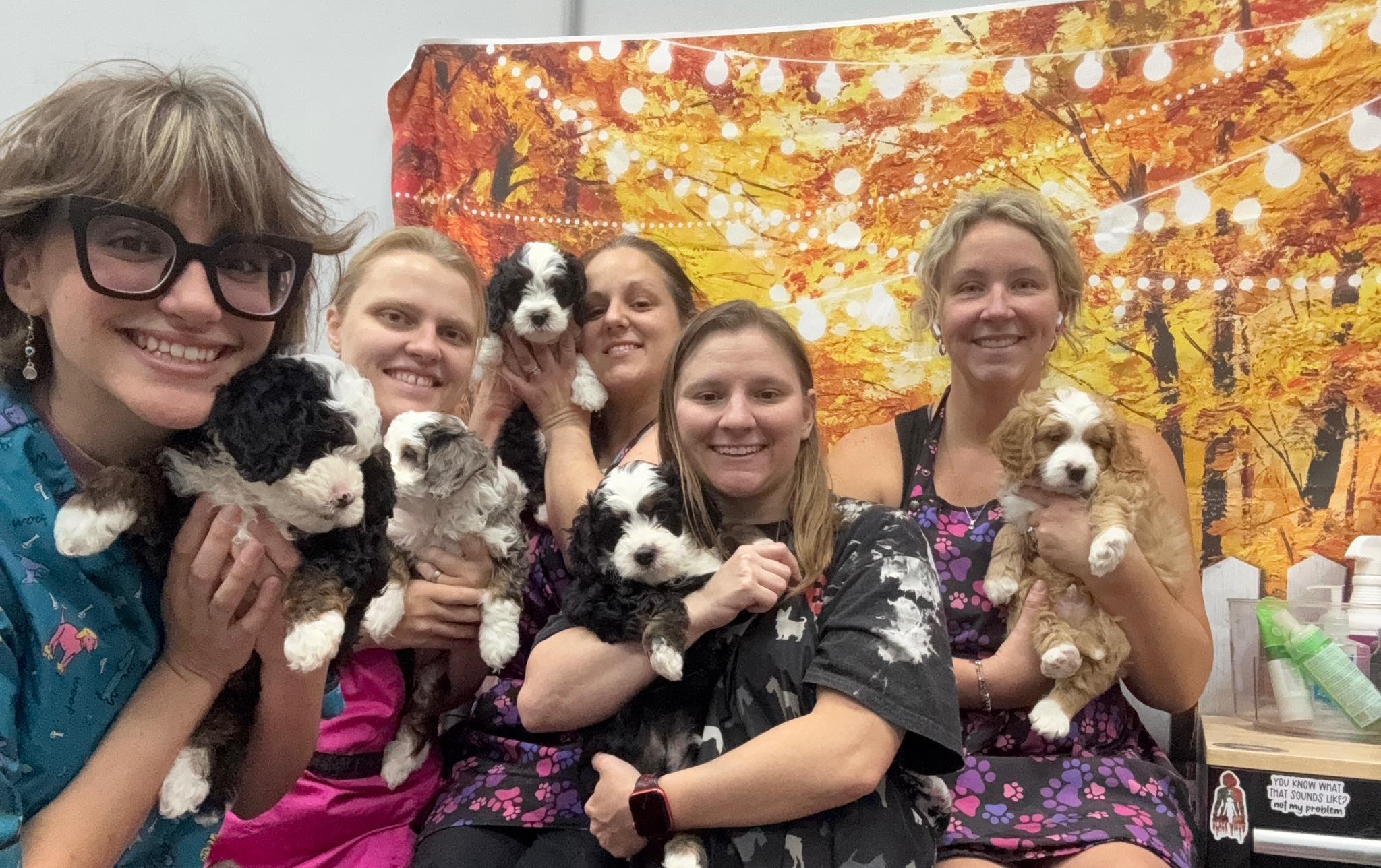 Pawfection Grooming Salon Myrtle Beach