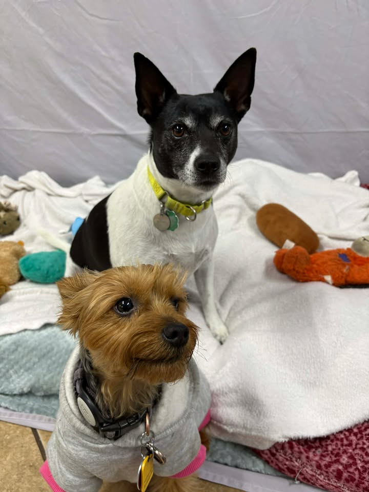 Sit and Stay, LLC Myrtle Beach