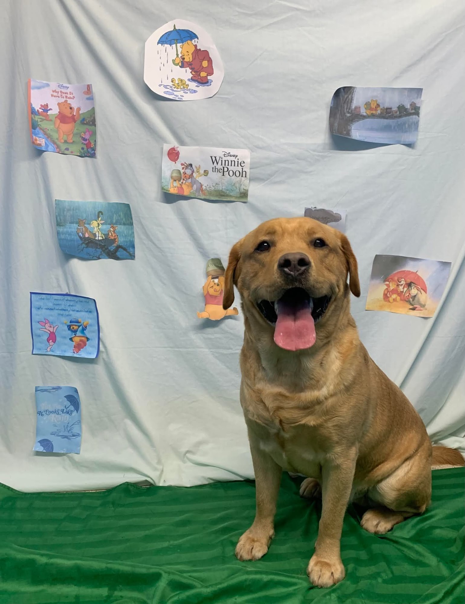 Sit and Stay, LLC Myrtle Beach