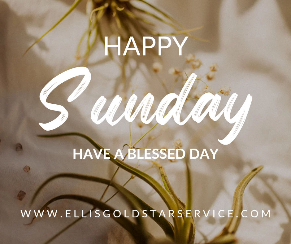 Ellis Heating & Air Inc