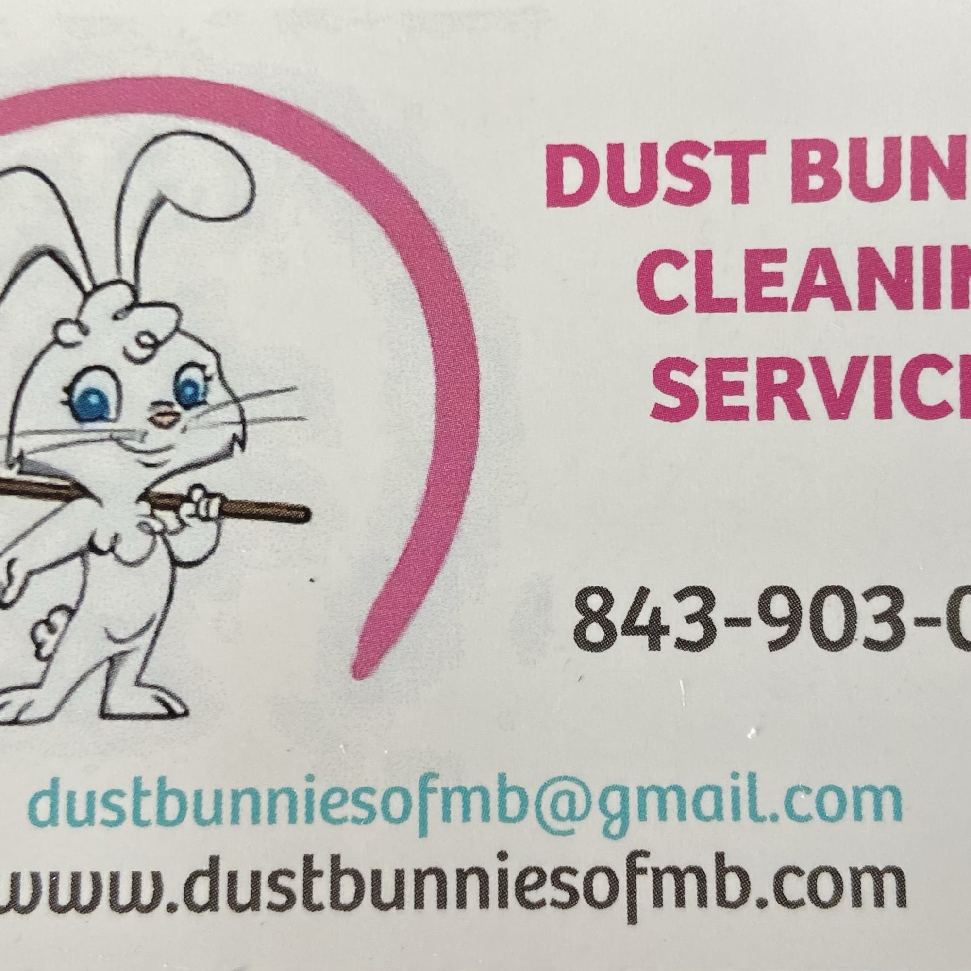 Dust Bunnies Cleaning Service