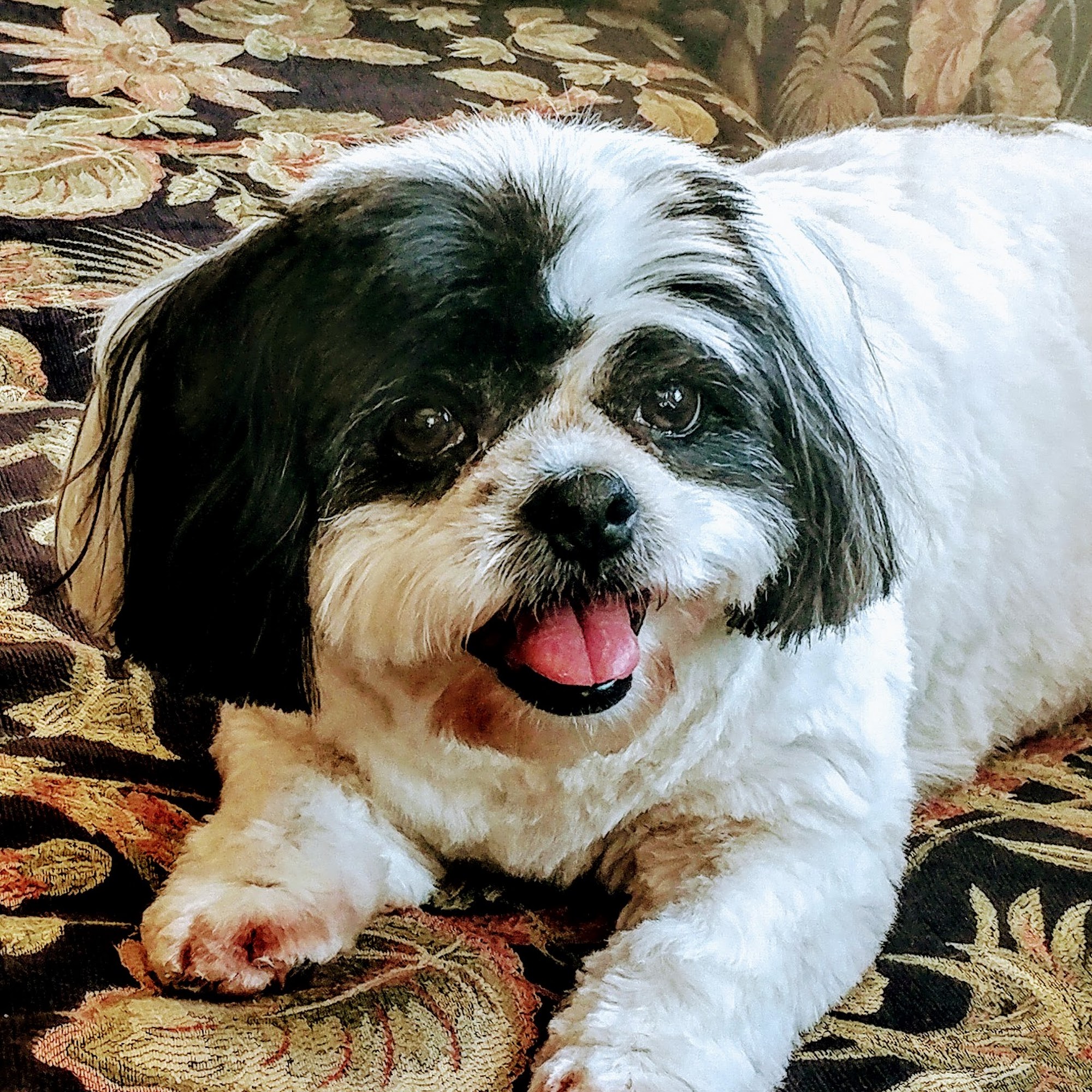 Care & Co Myrtle Beach