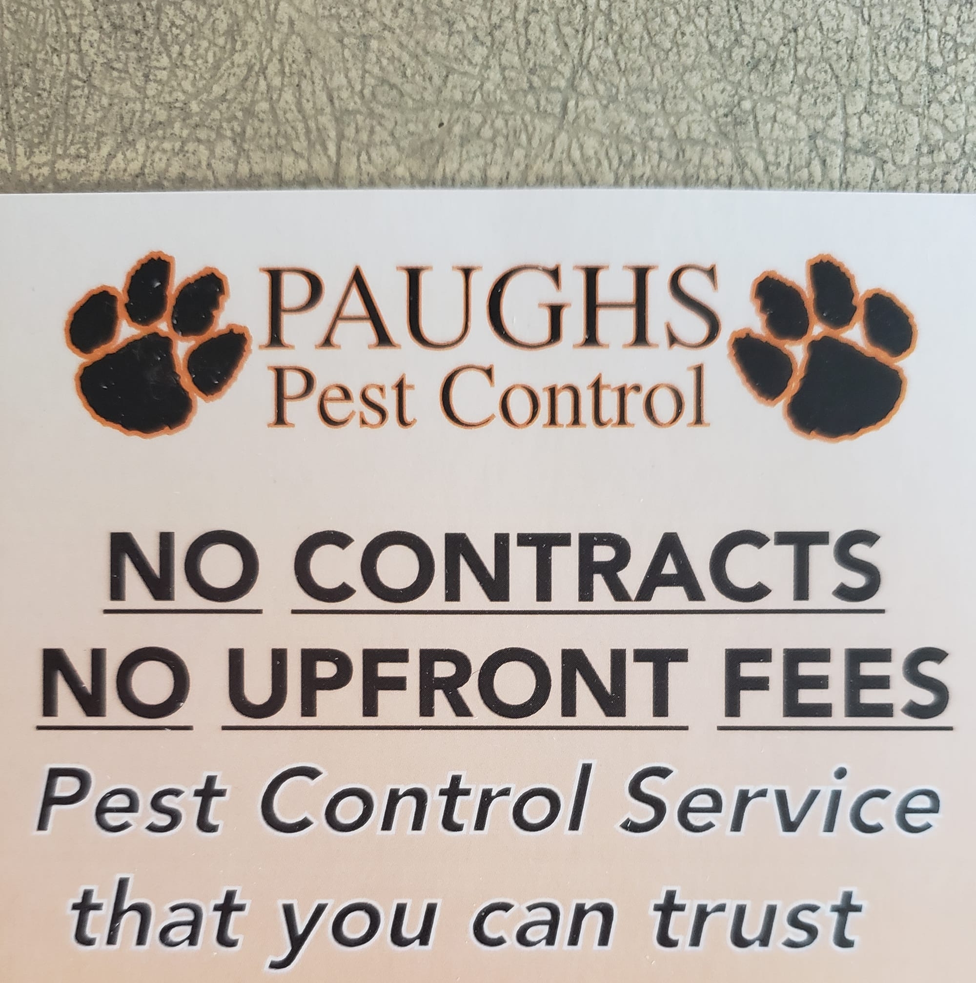 Paughs Pest Control 7364 Springside Dr, Myrtle Beach South Carolina 29588