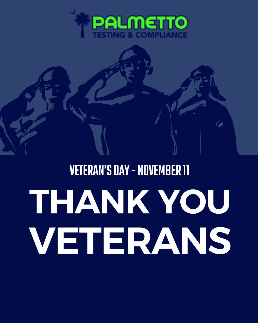 Palmetto Testing and Compliance