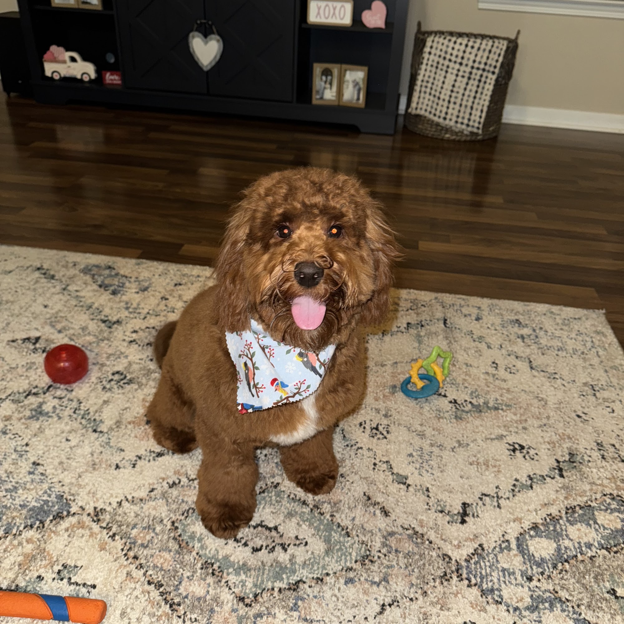 Earthwise Pet, Myrtle Beach Myrtle Beach