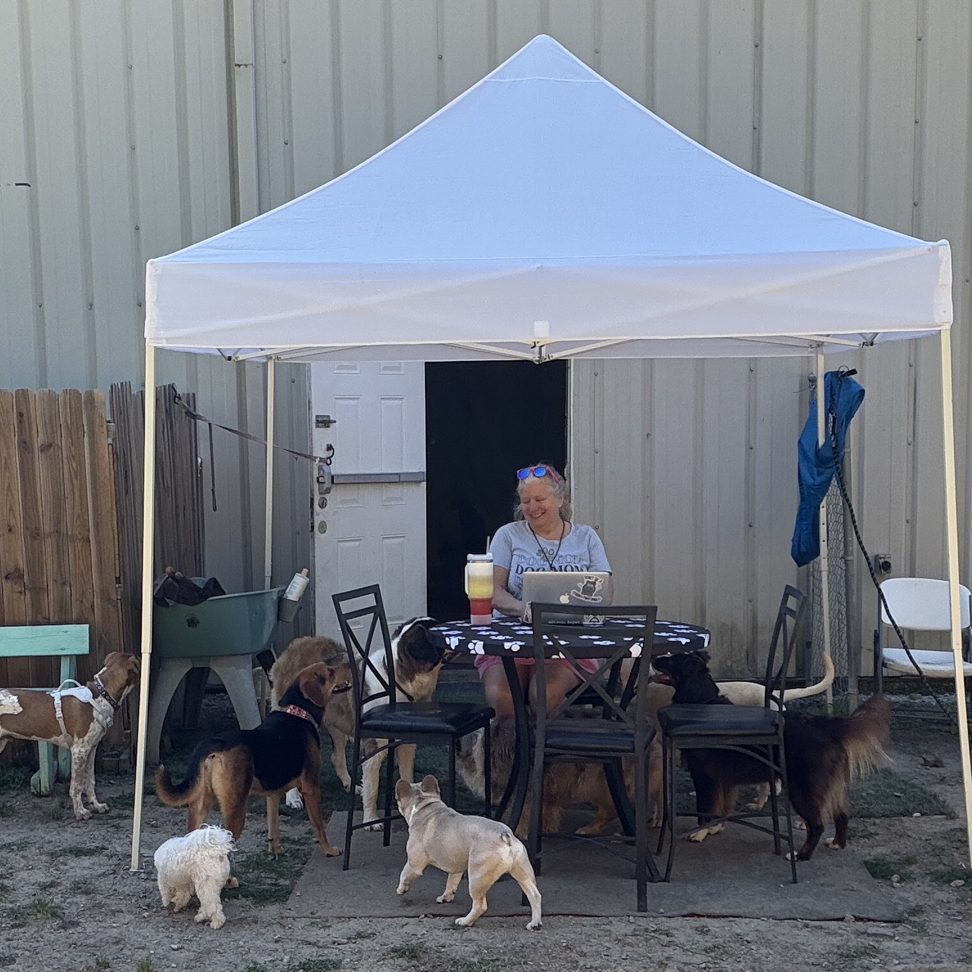 Carolina Canine College