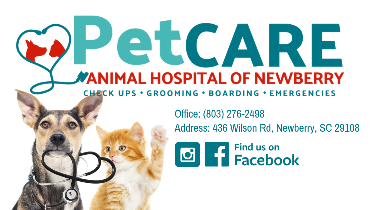 PetCare of Newberry Newberry