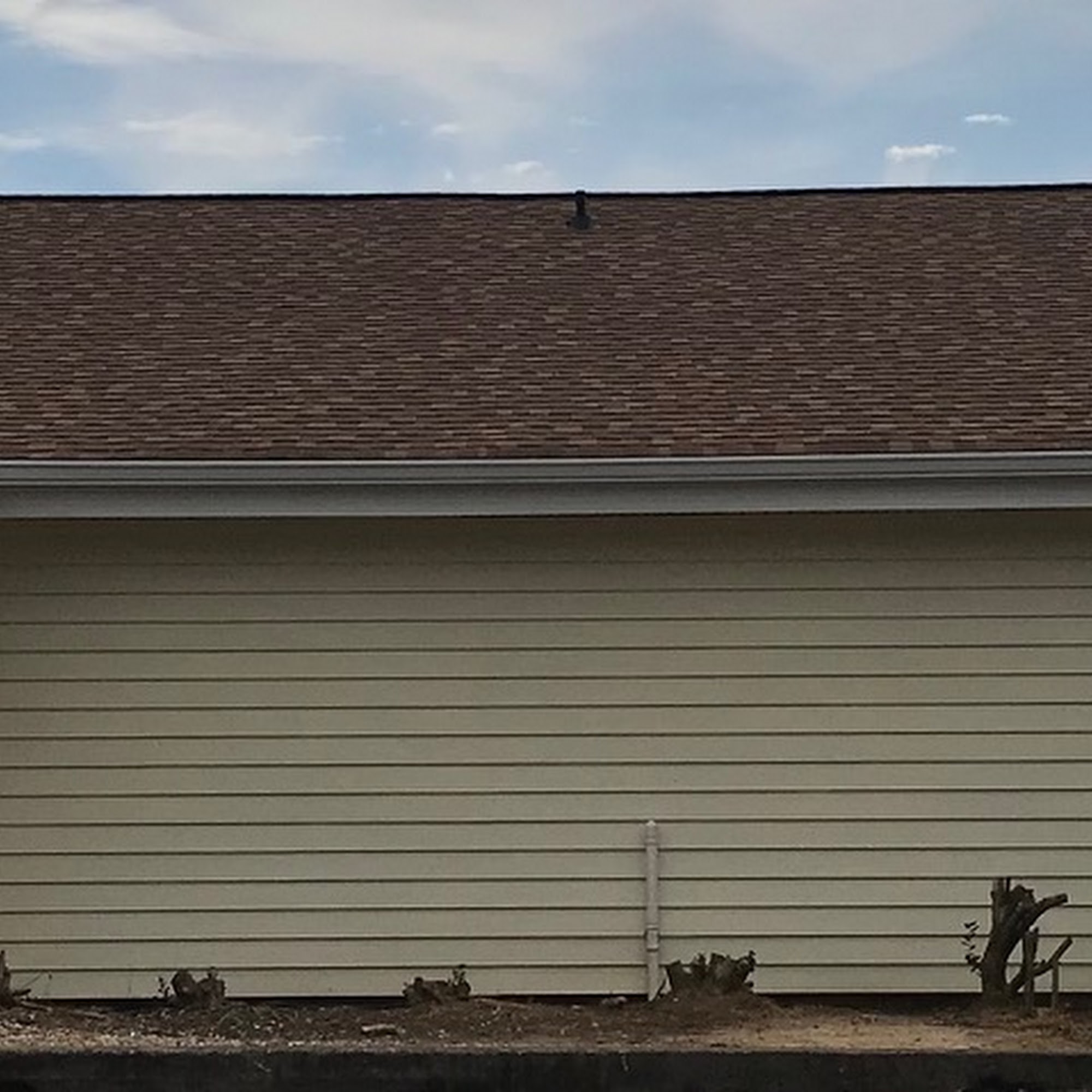 North Augusta Animal Hospital North Augusta