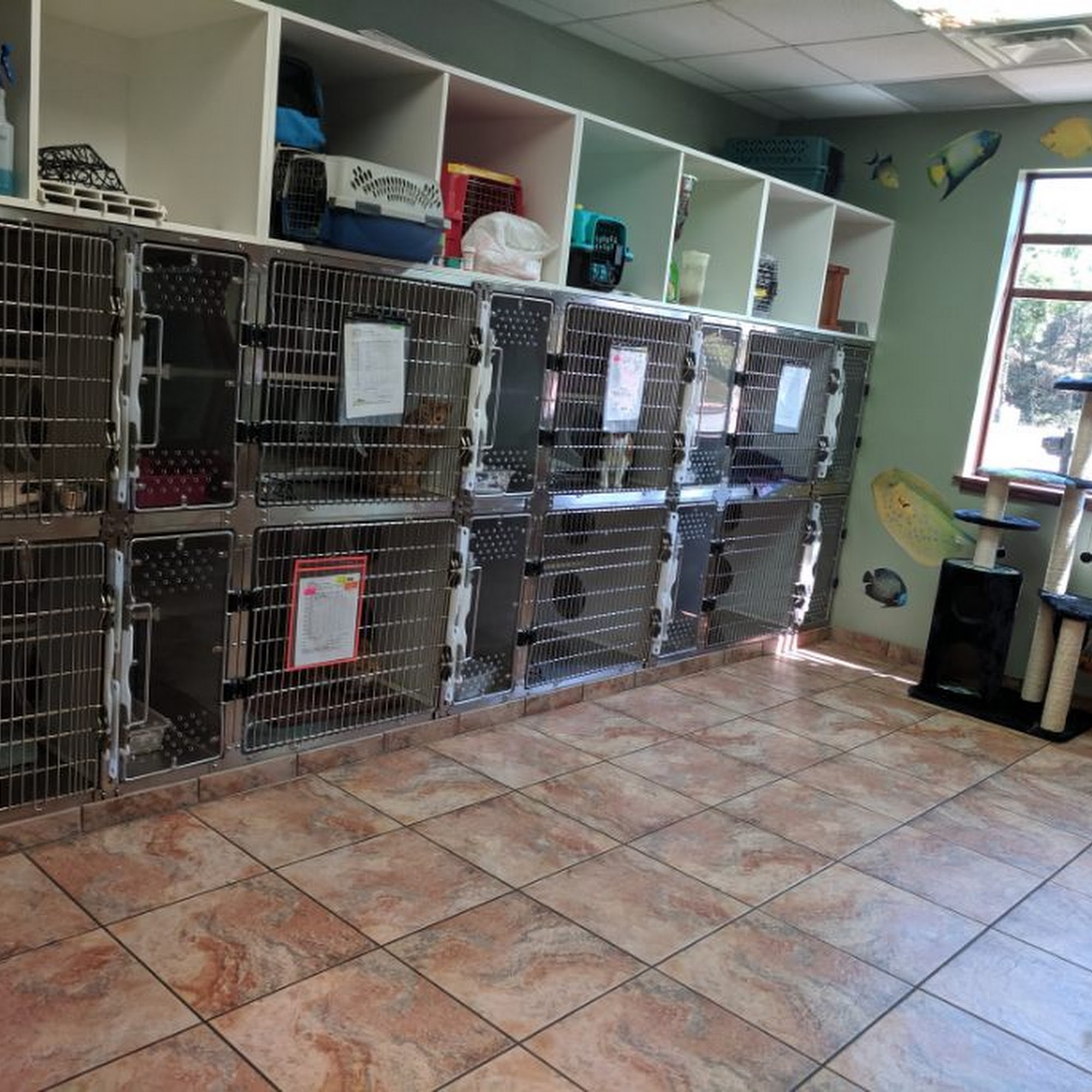 Veterinary Healthcare Associates North Augusta