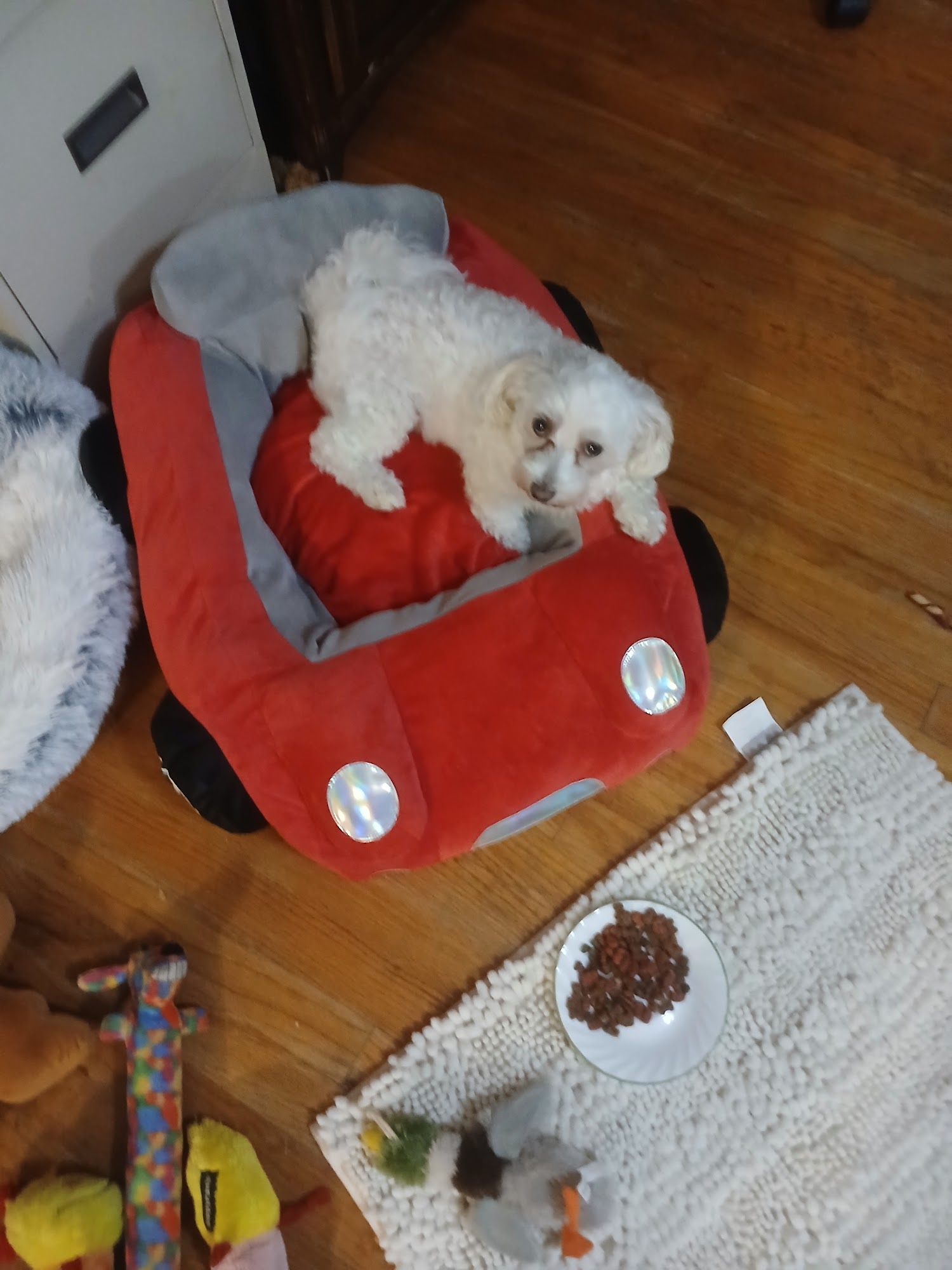 Dr. Tracy R. Barefield, MD