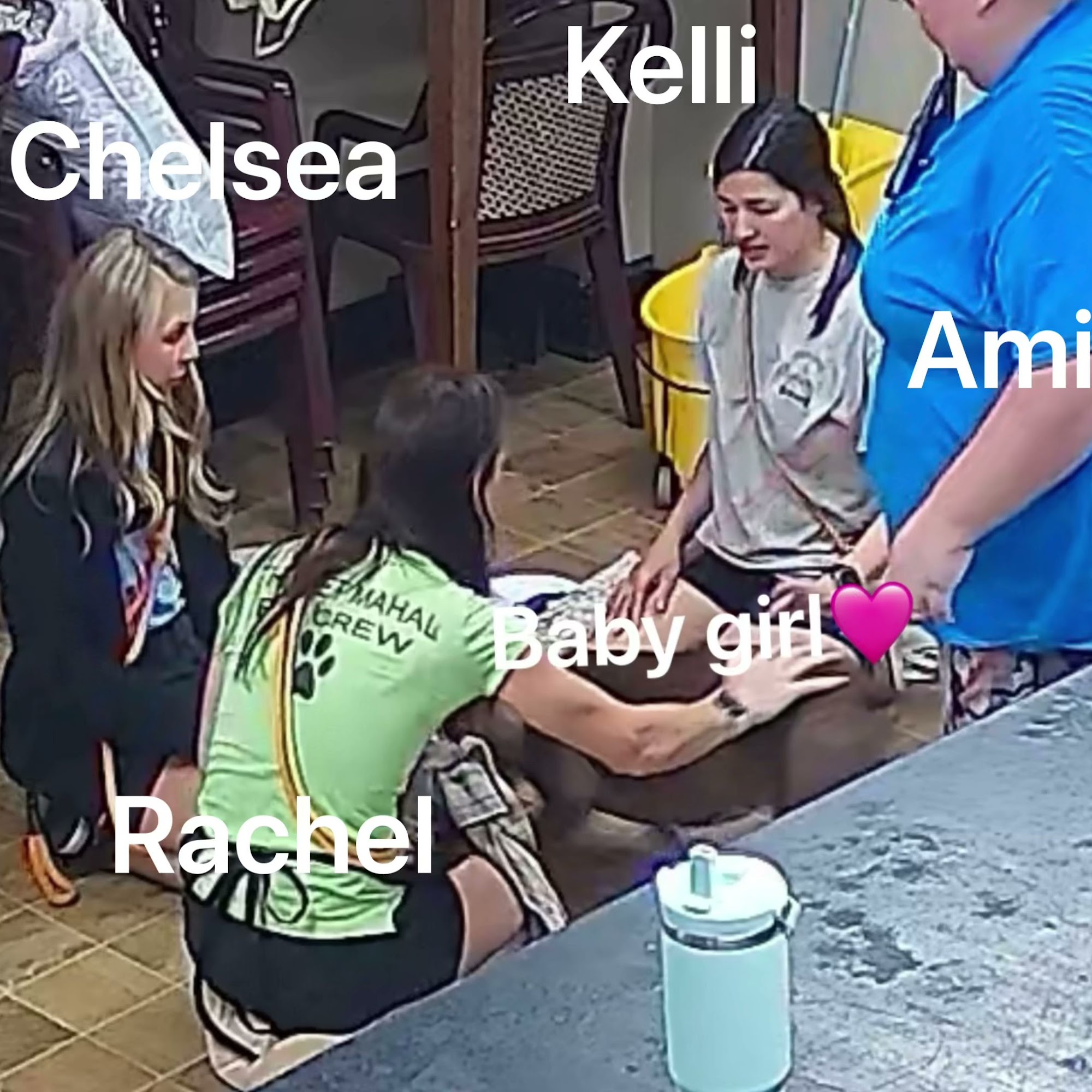 The Pet Mahal North Charleston