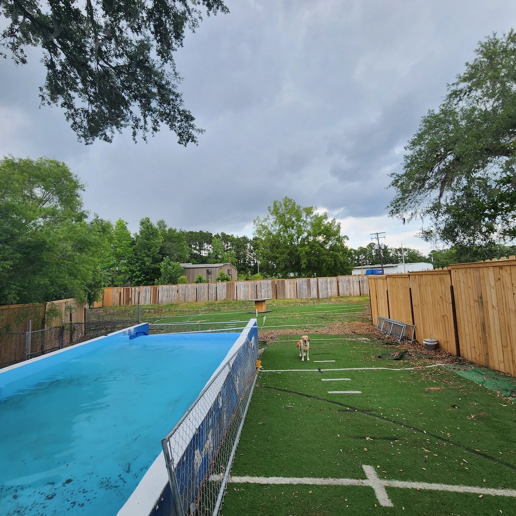 The Cool Dog Country Club North Charleston