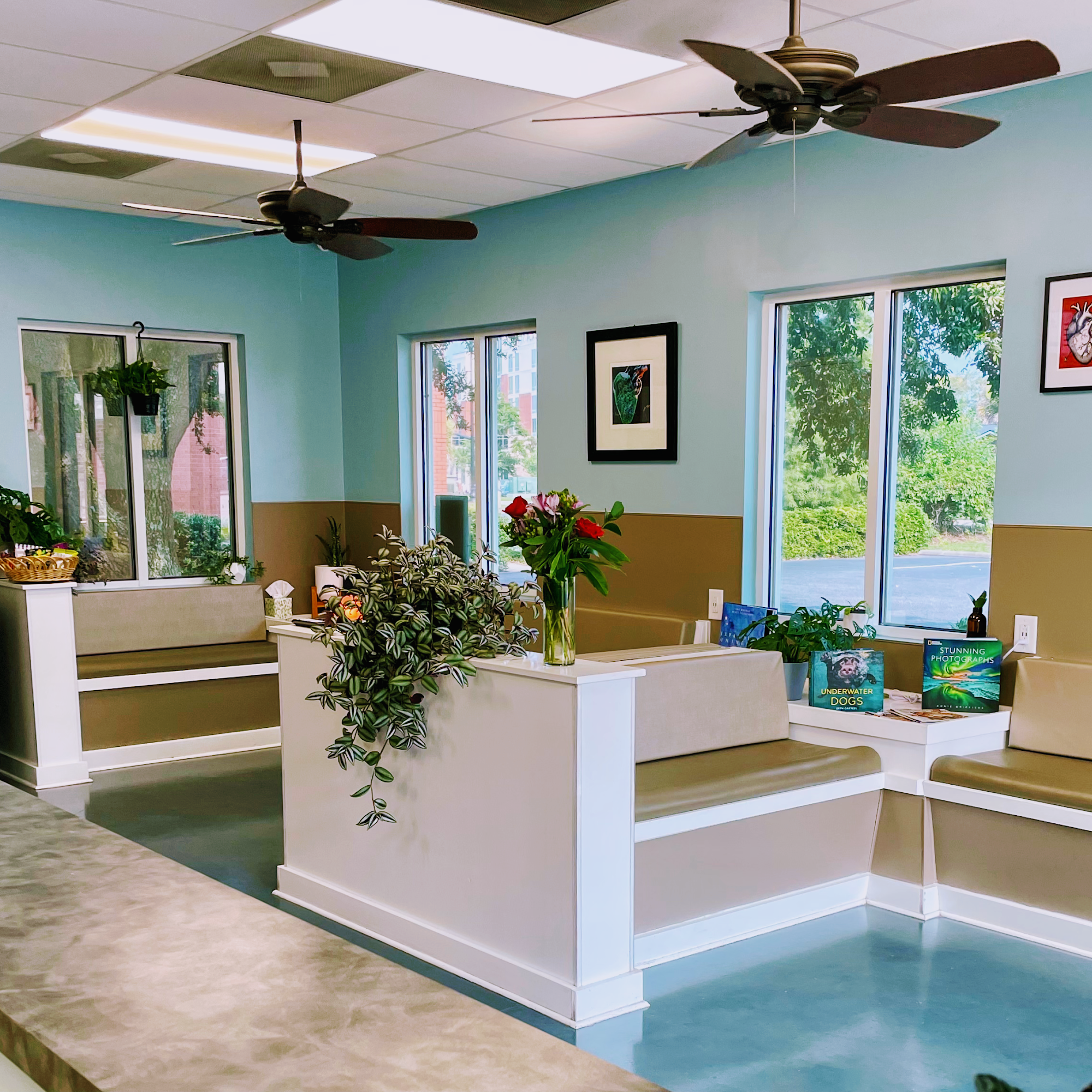 Charleston Veterinary Cardiology North Charleston