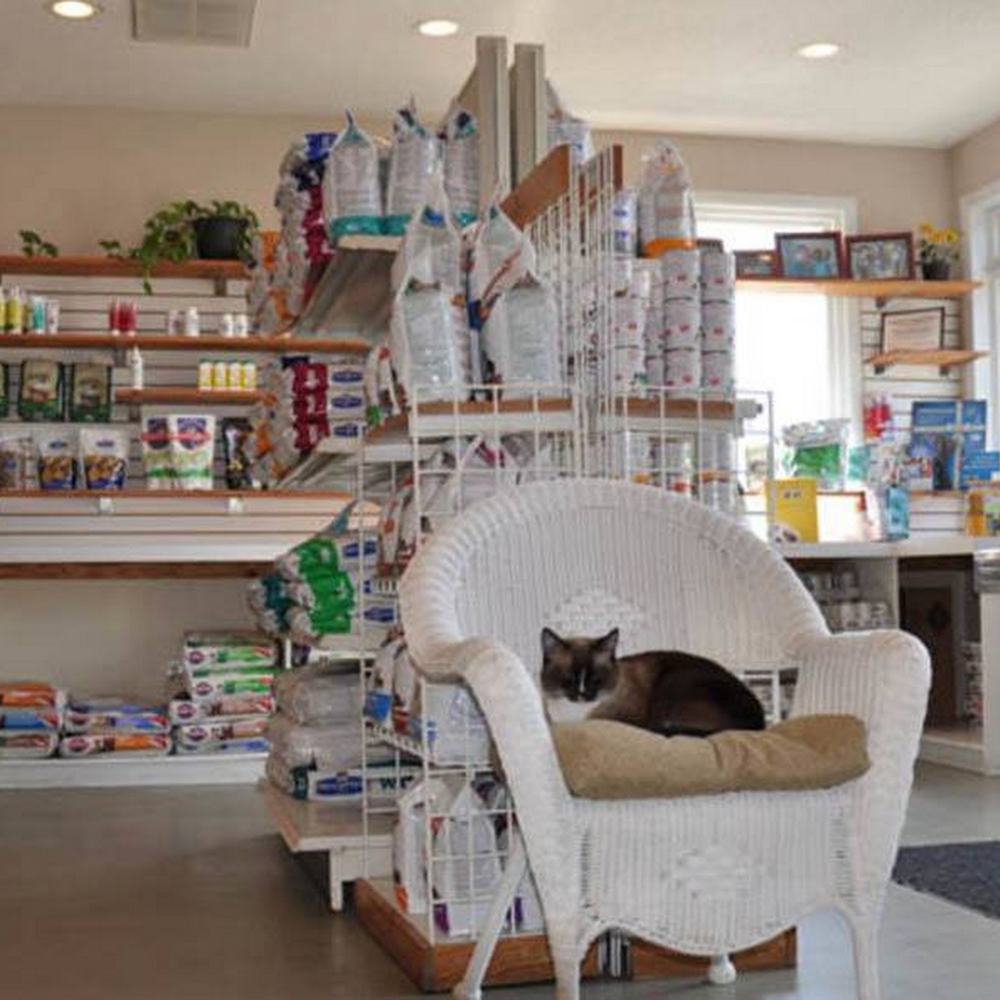 Pawleys Veterinary Hospital Pawleys Island