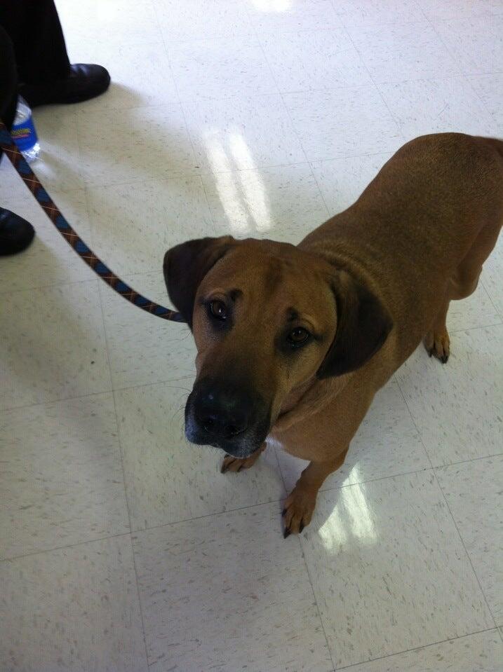 Photo credit: nextdoor