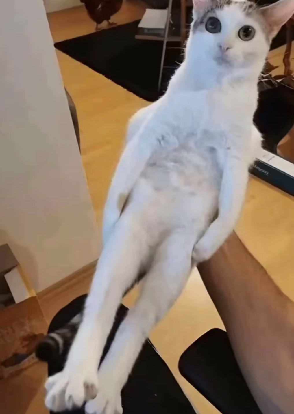 Pickens Barber & Style Shop 132 W Main St, Pickens South Carolina 29671