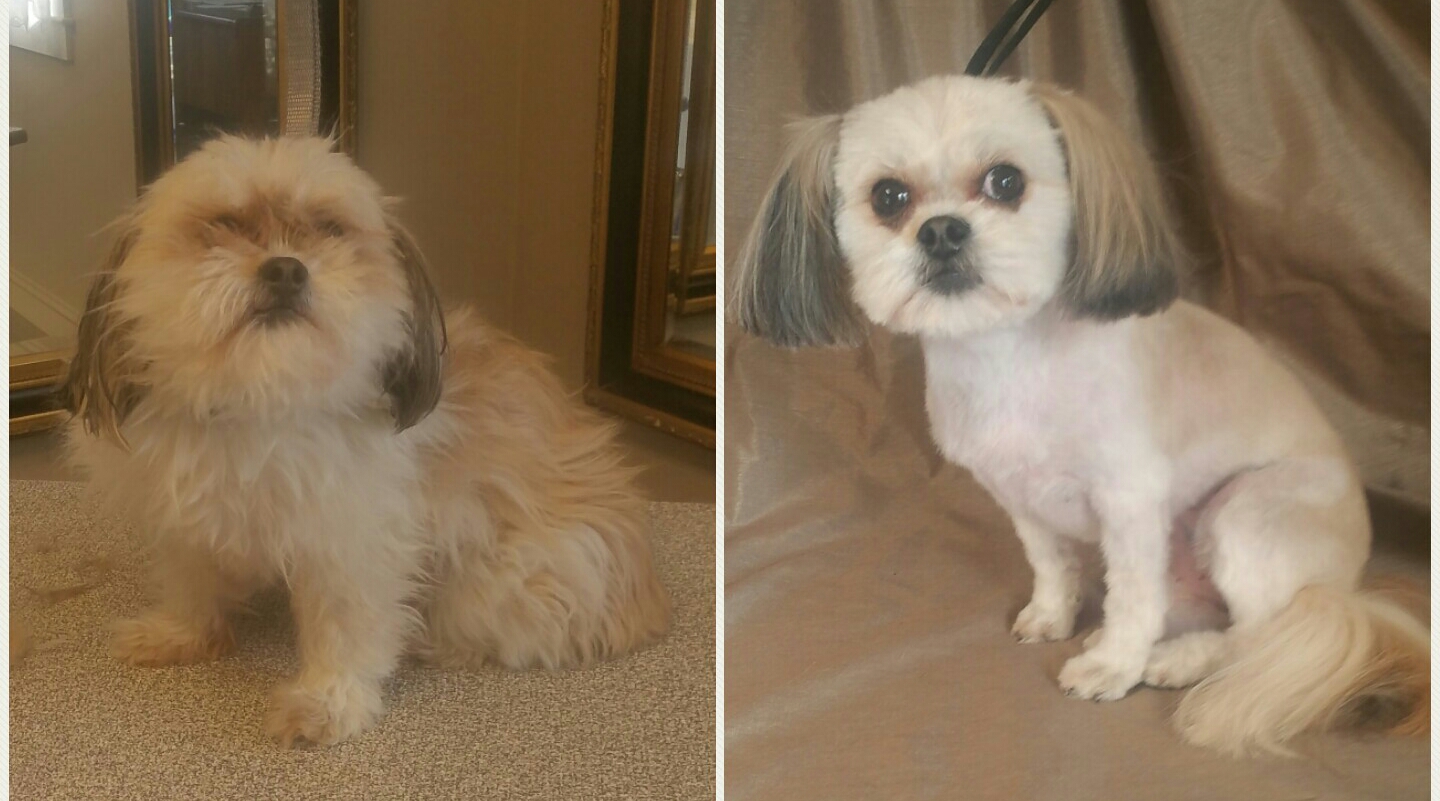 Upstate Top Dog Pickens