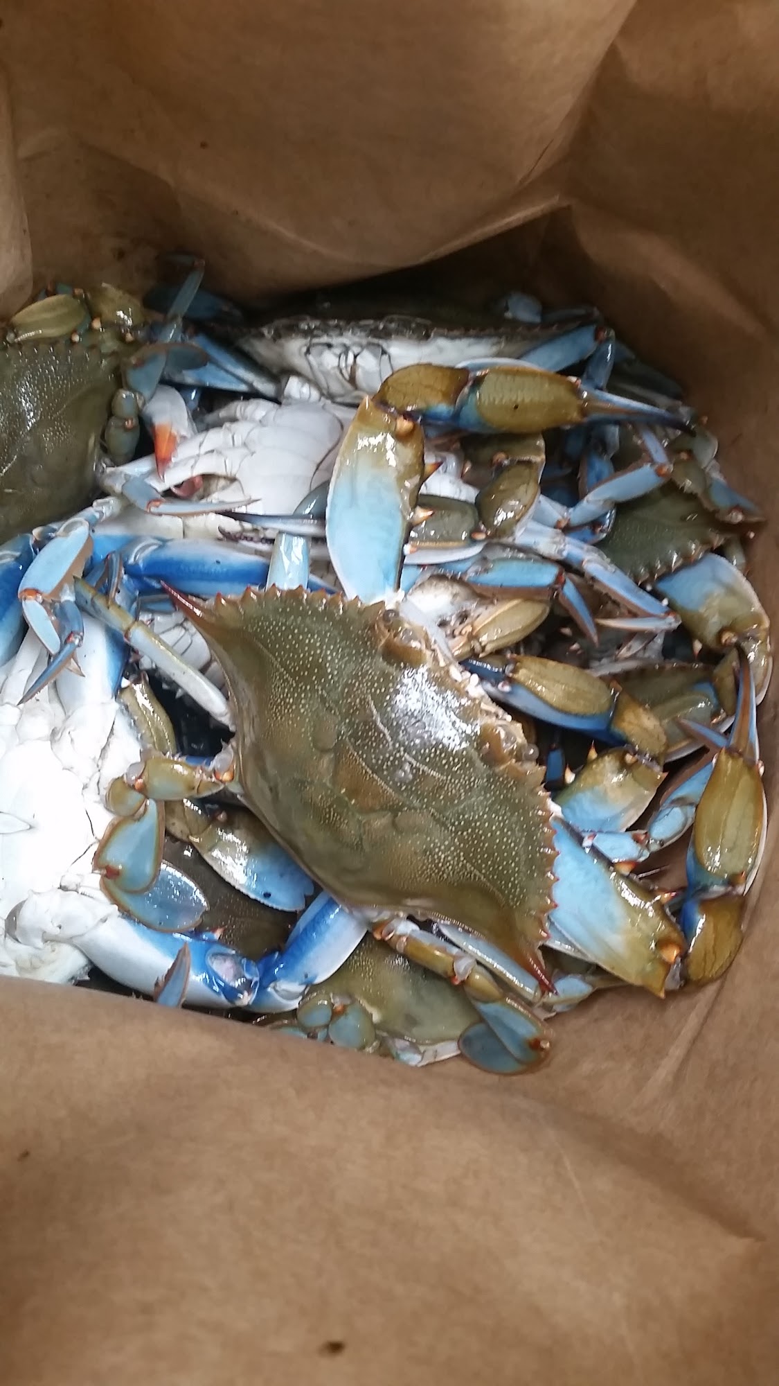 C J Seafood Express Menu