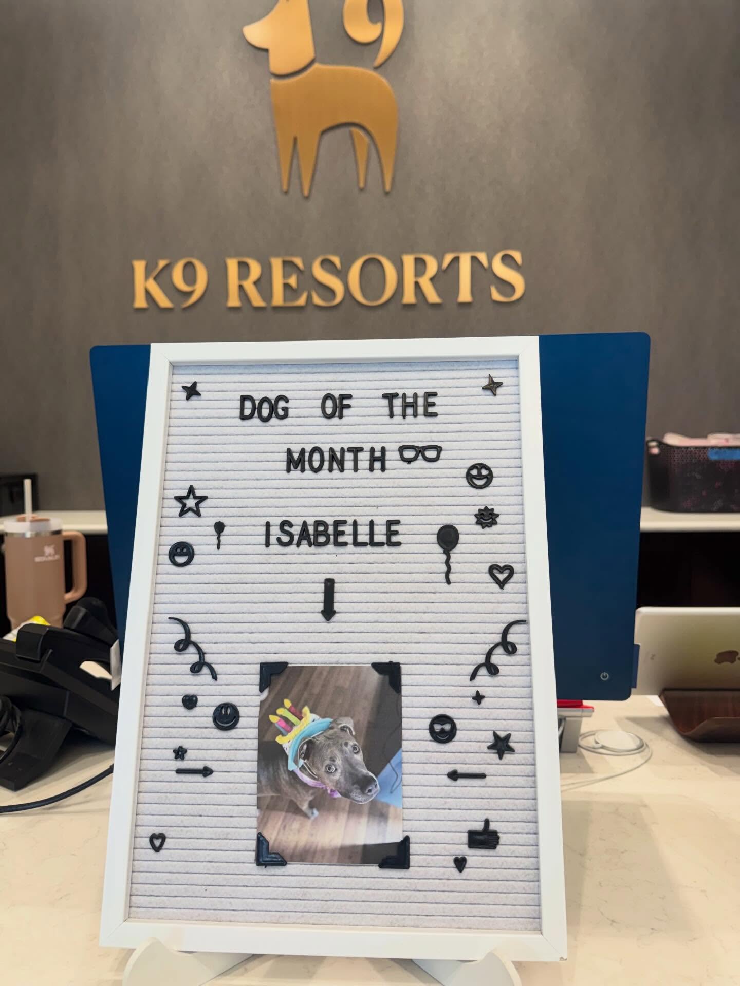 K9 Resorts Luxury Pet Hotel Bluffton Ridgeland