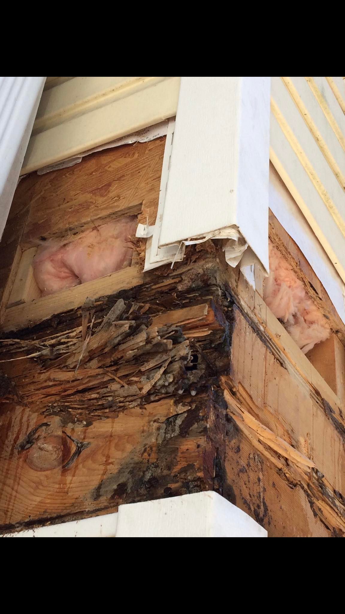 Xtreme Pest Control LLC Ridgeland SC 29936