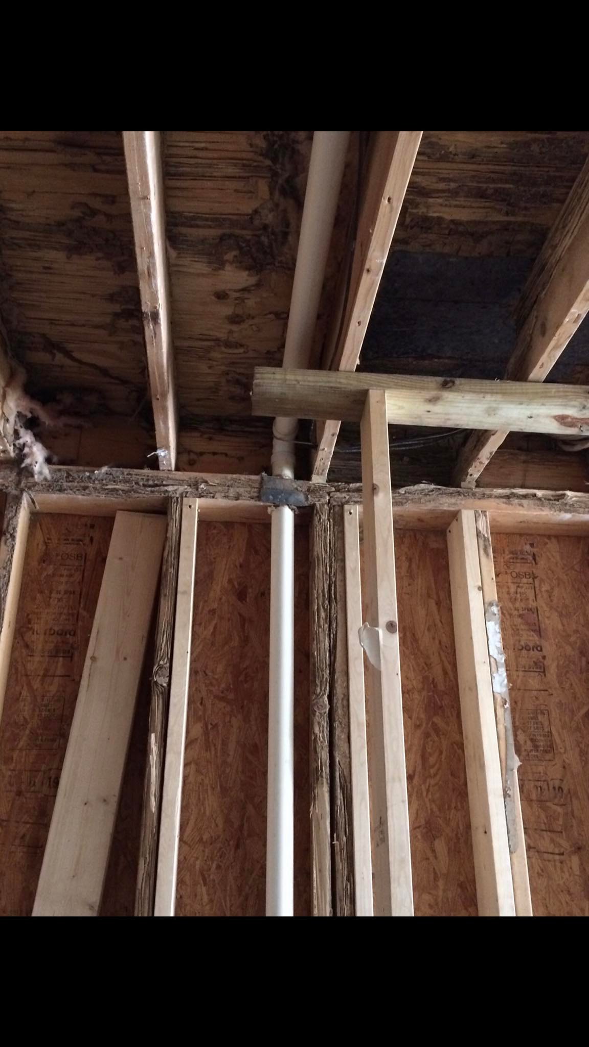 Xtreme Pest Control LLC Ridgeland SC 29936