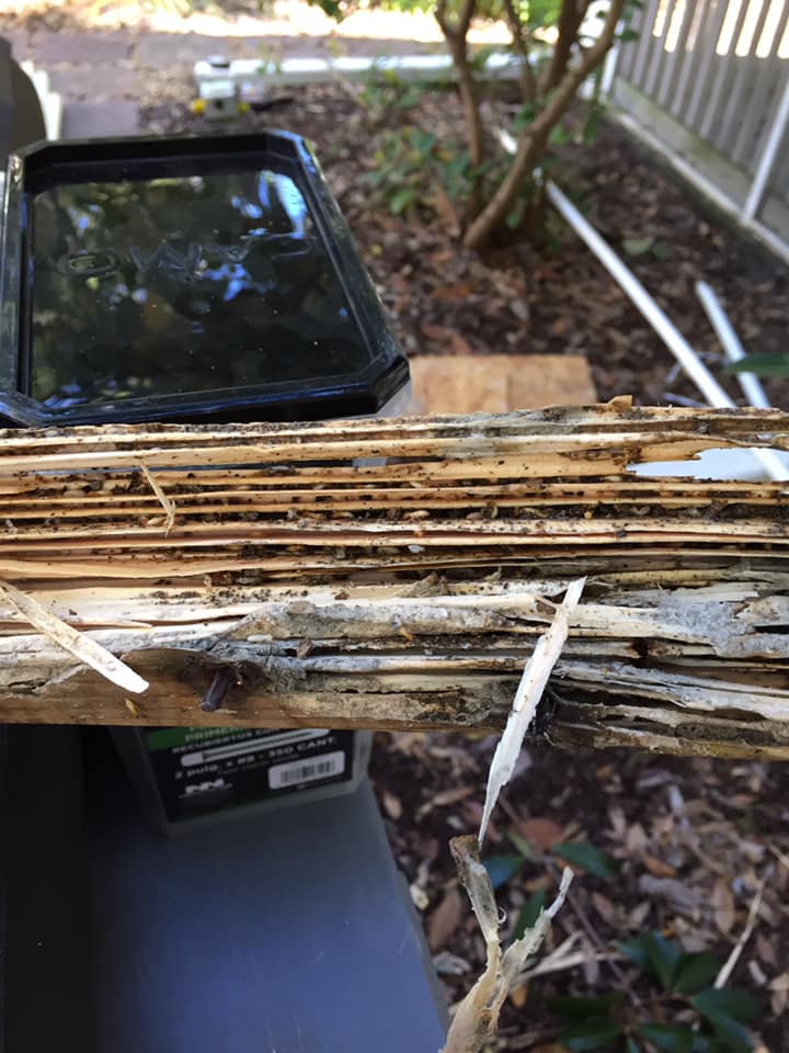 Xtreme Pest Control LLC Ridgeland SC 29936