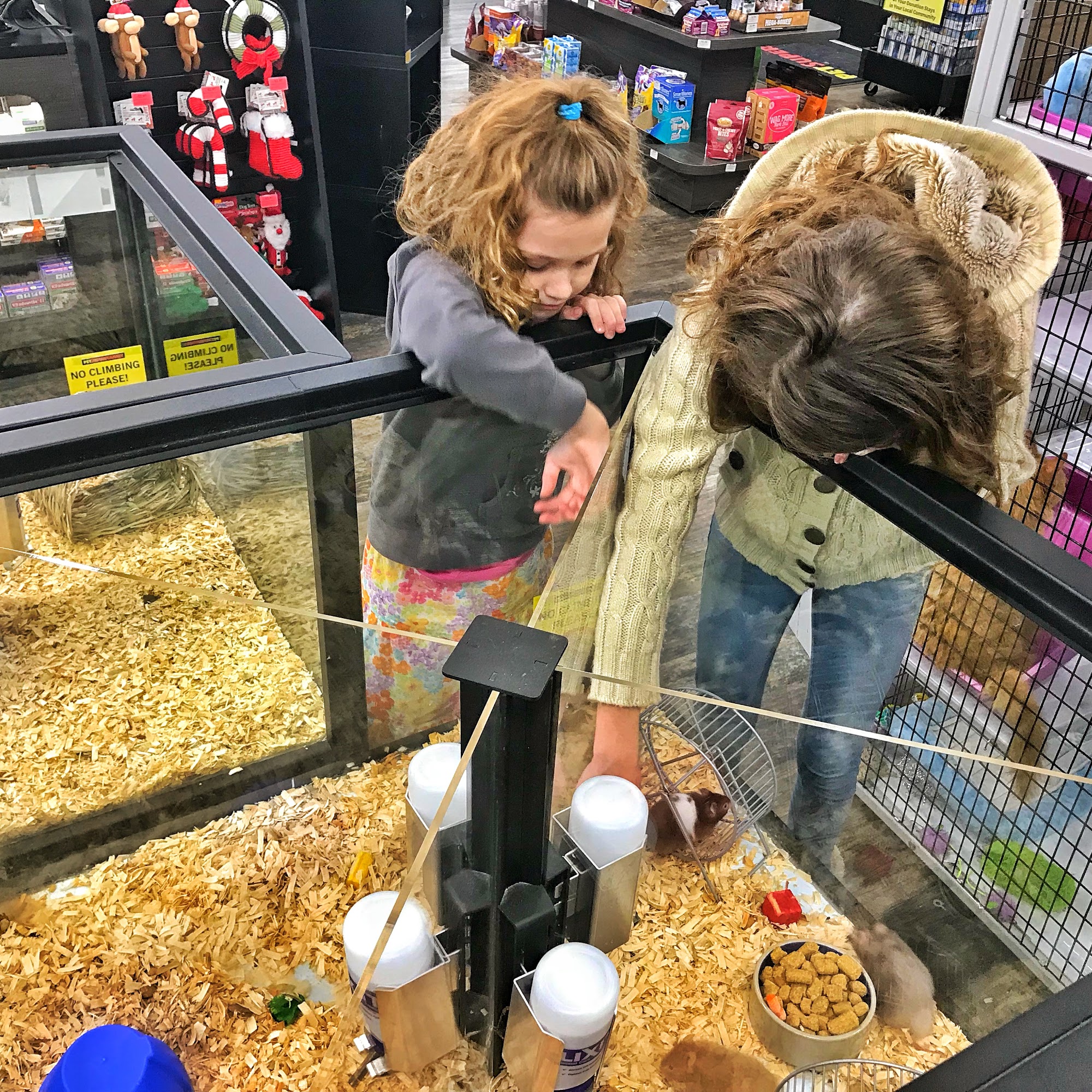 Pet Supermarket Rock Hill