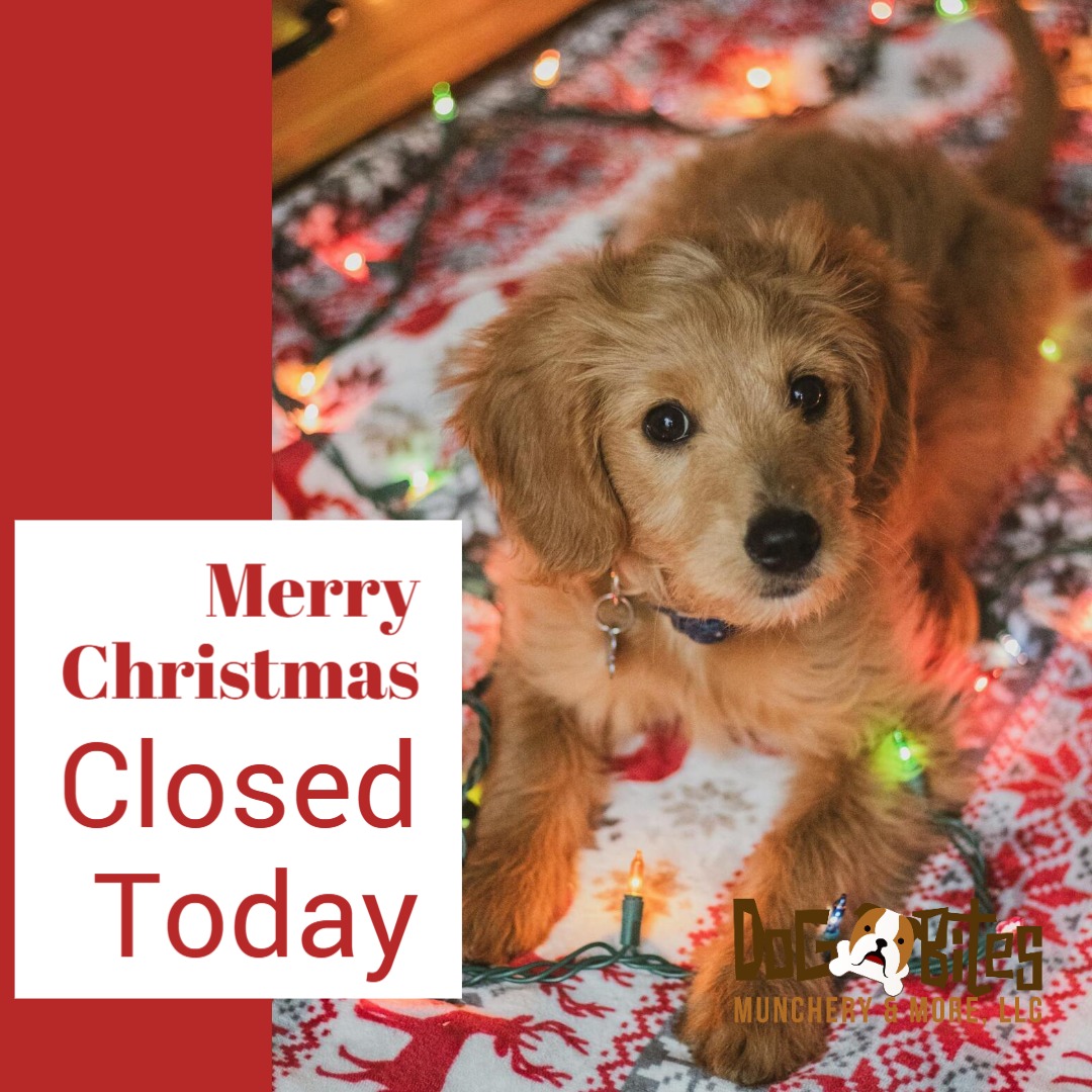 Dog Bites Munchery & More, LLC Rock Hill