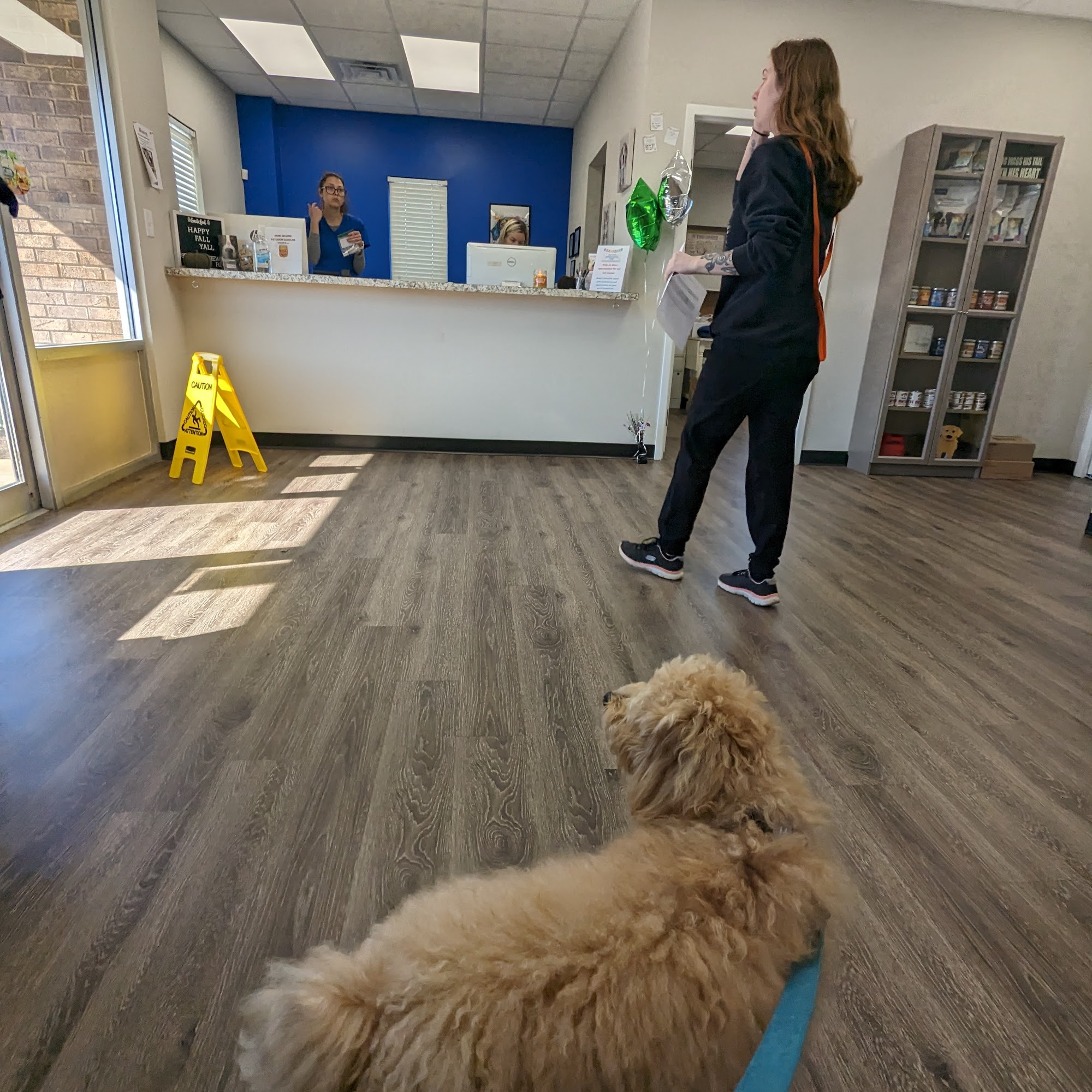 Healthy Pets - Spay, Neuter, and Wellness Clinic Rock Hill