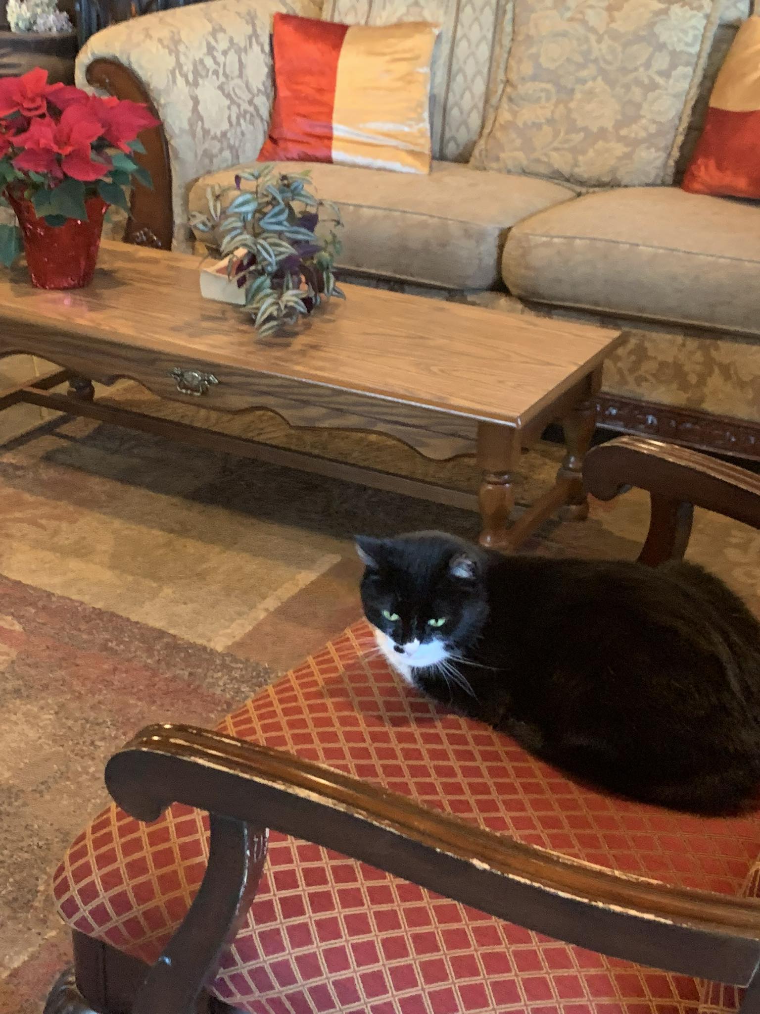 Jocassee Valley Brewing Company Salem