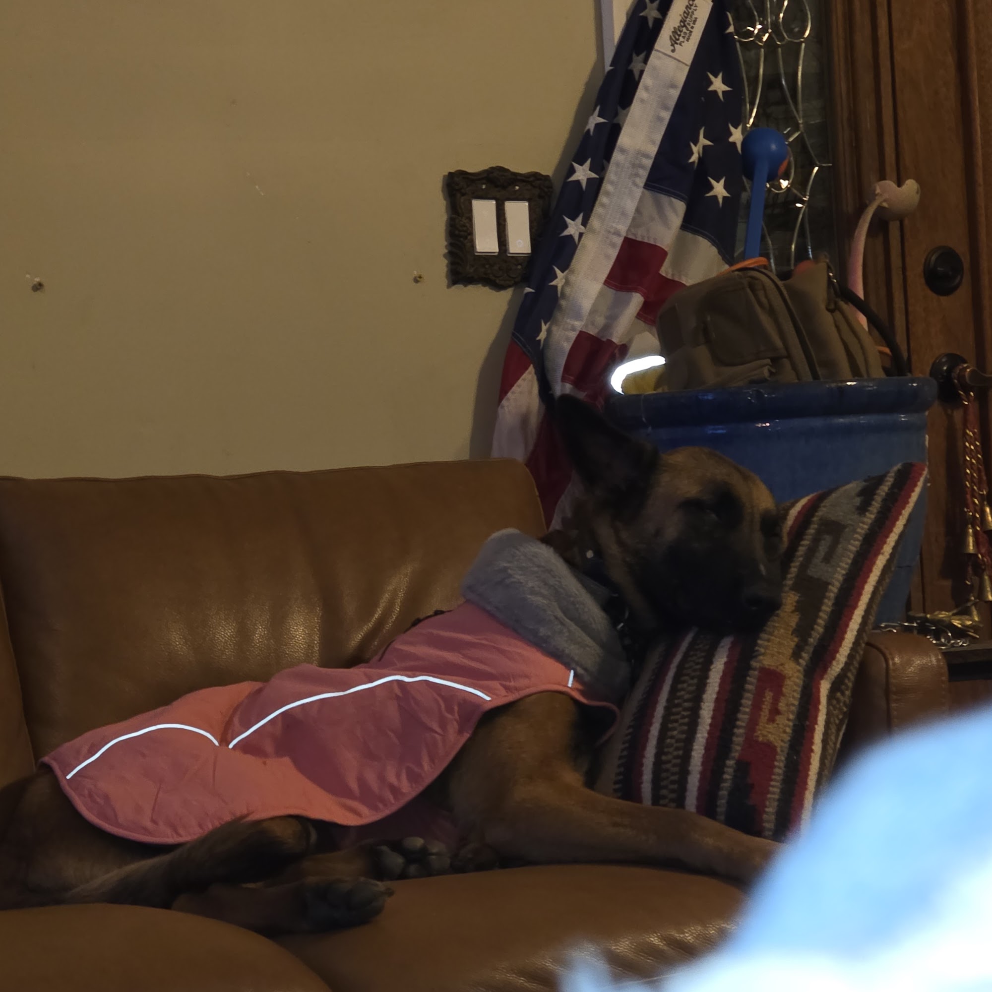 Seneca Animal Hospital Seneca