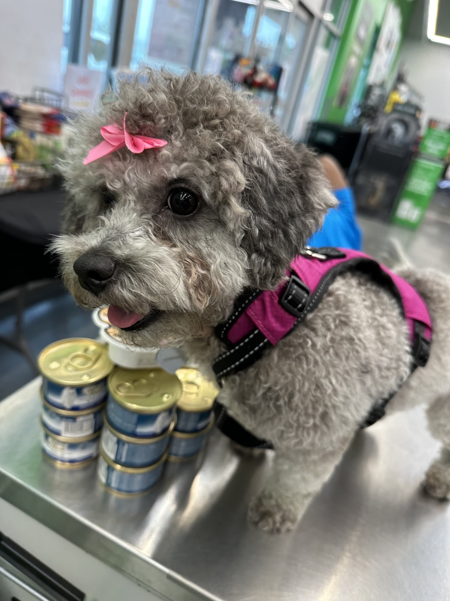 Pet Supplies Plus Seneca Seneca