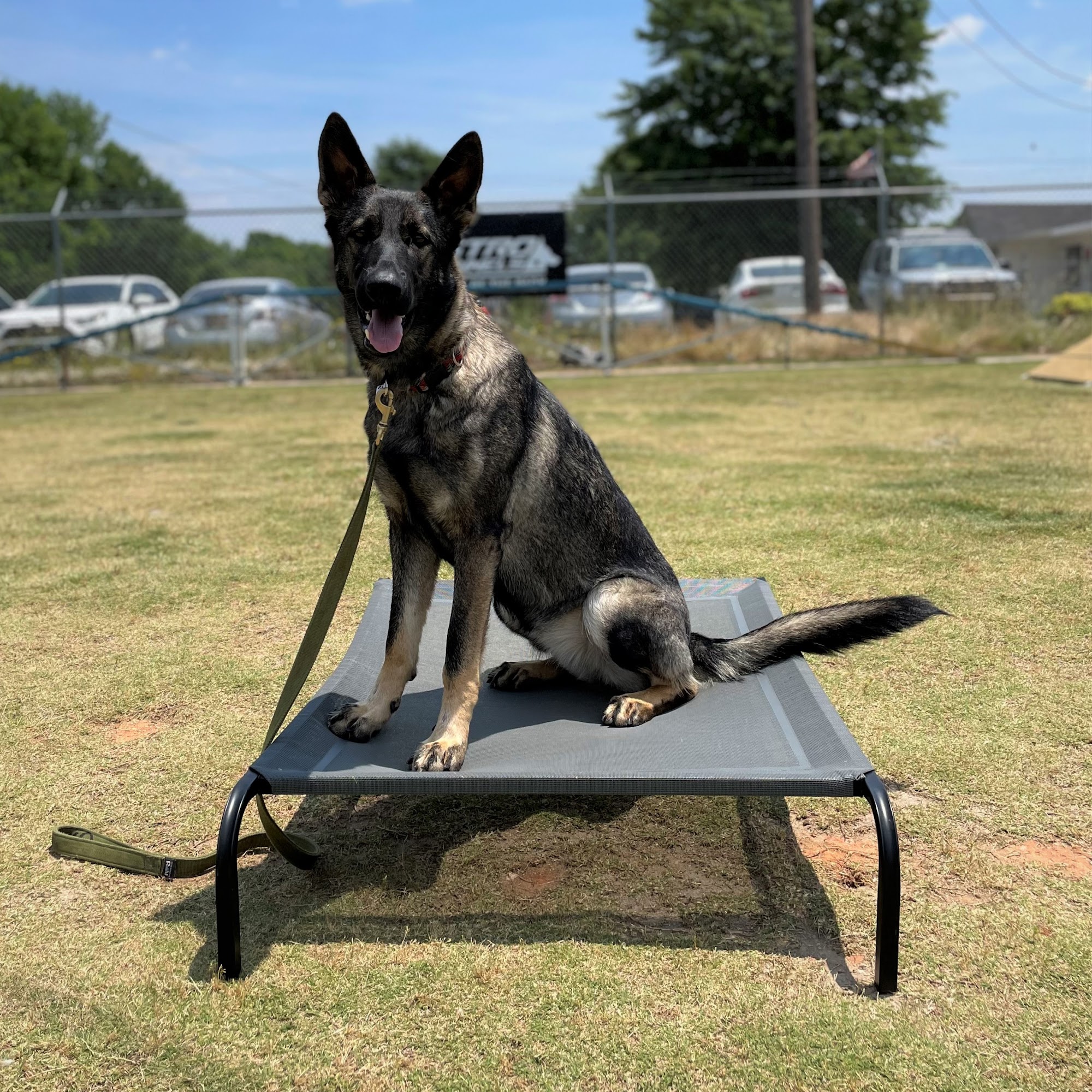 Astro Kennels Simpsonville